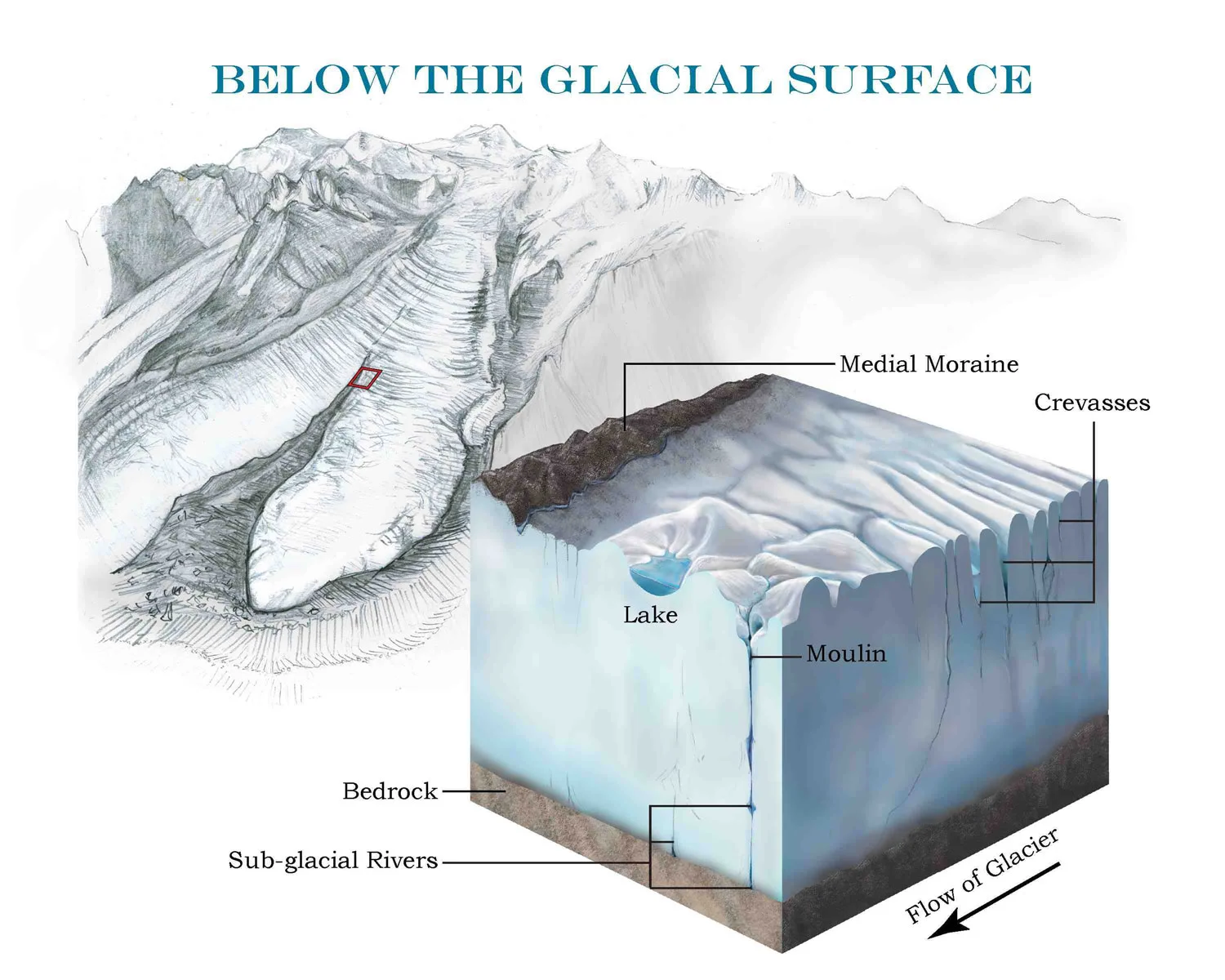 Glacier Cutaway