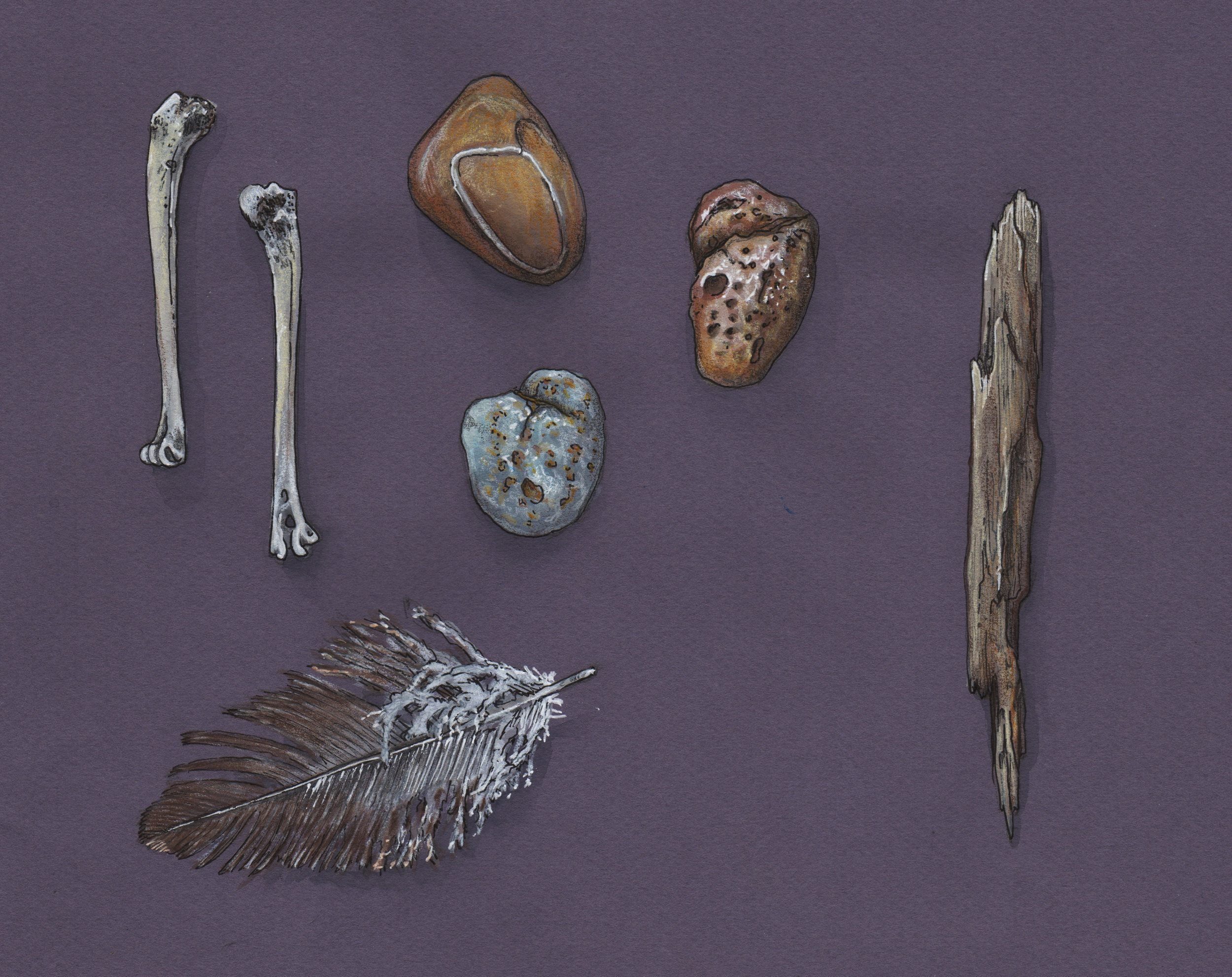 Nizina River Findings