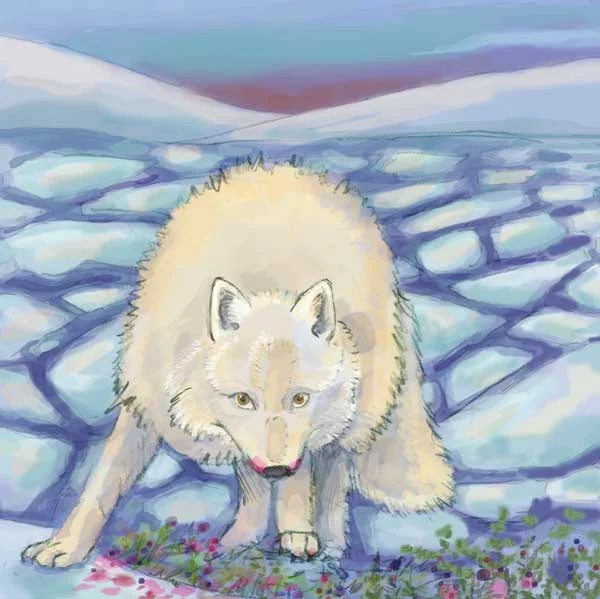 Illustration from page 5