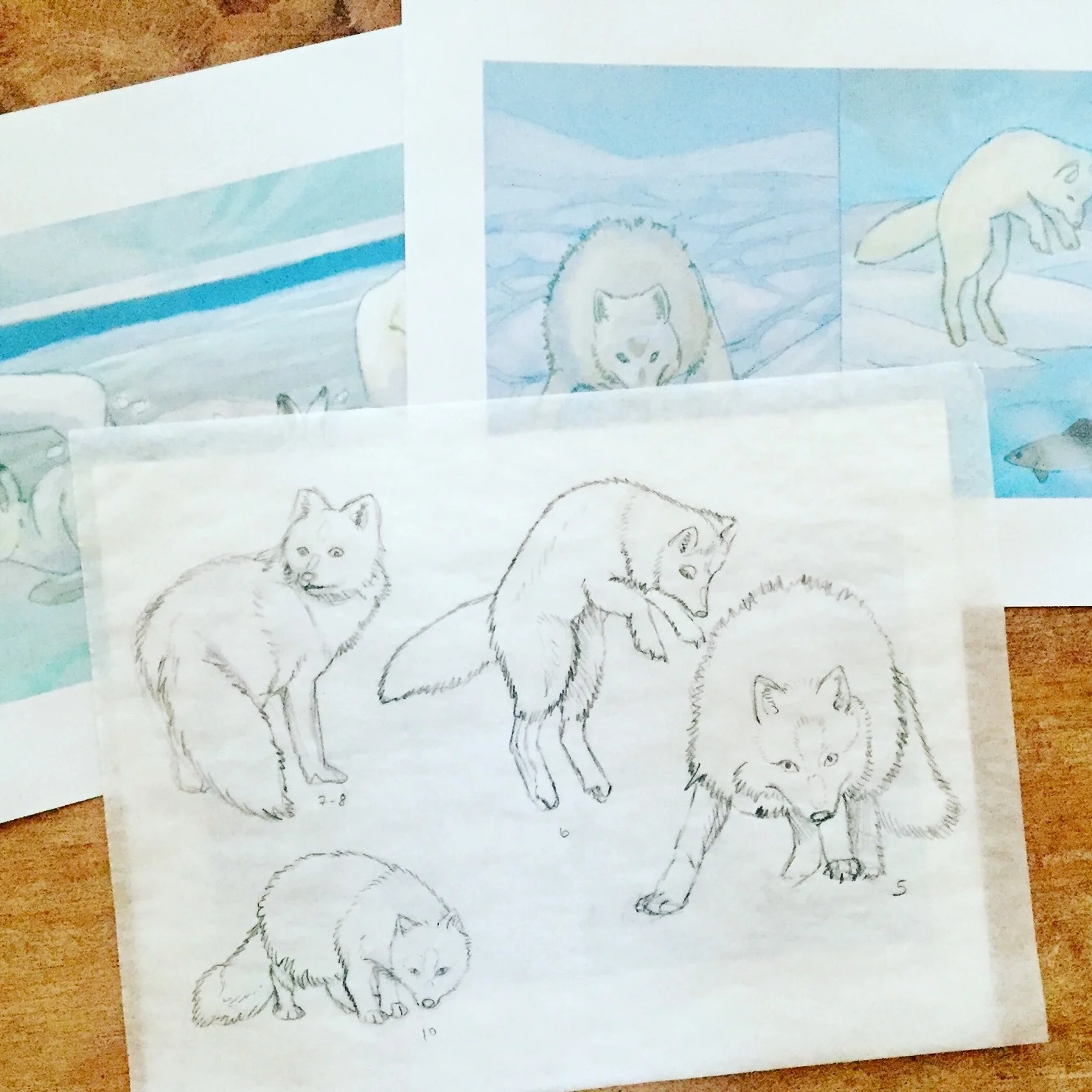 Some pages and sketches from the book