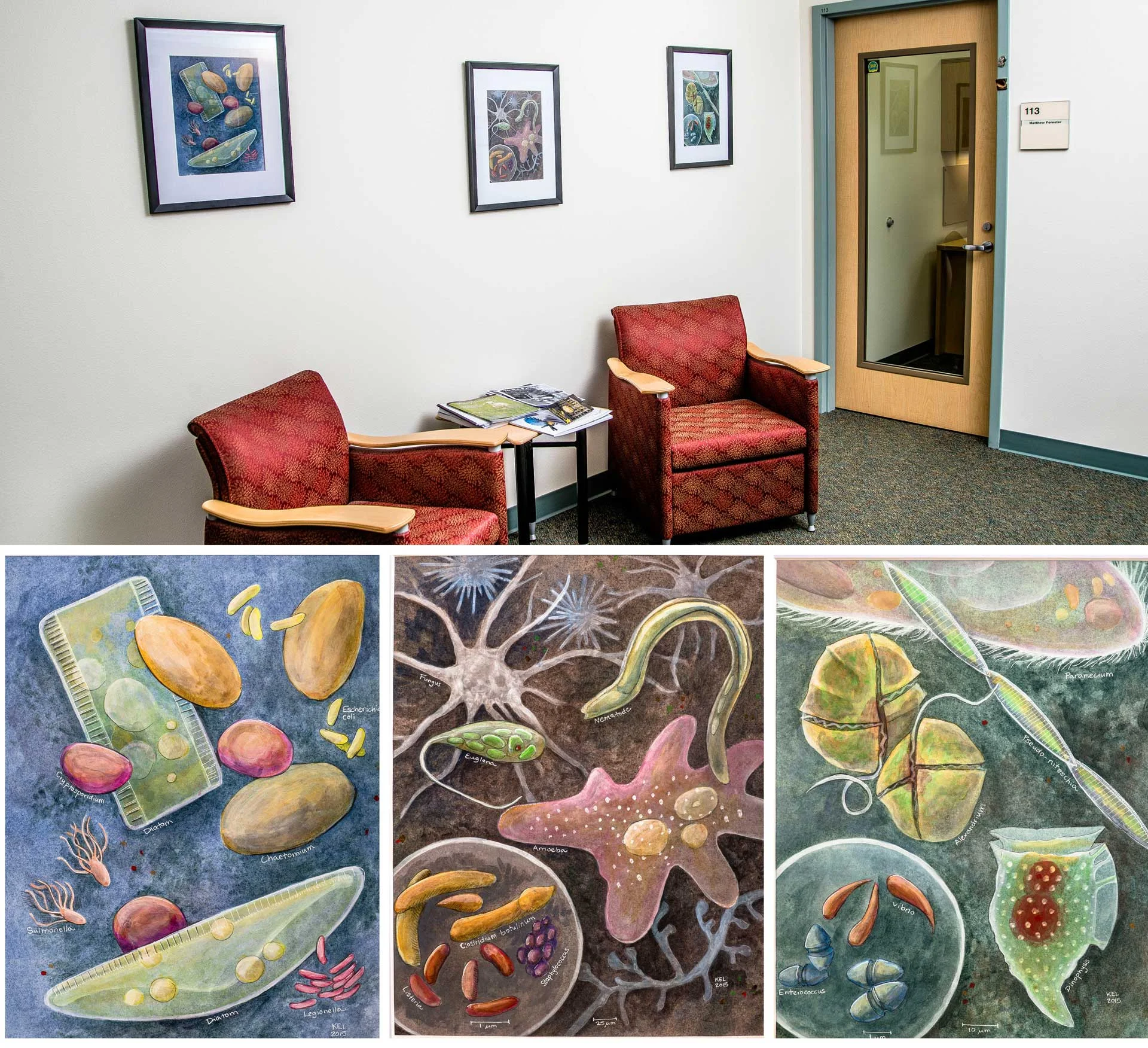 The World of Microbes, Artwork for the DEC Lab in Anchorage