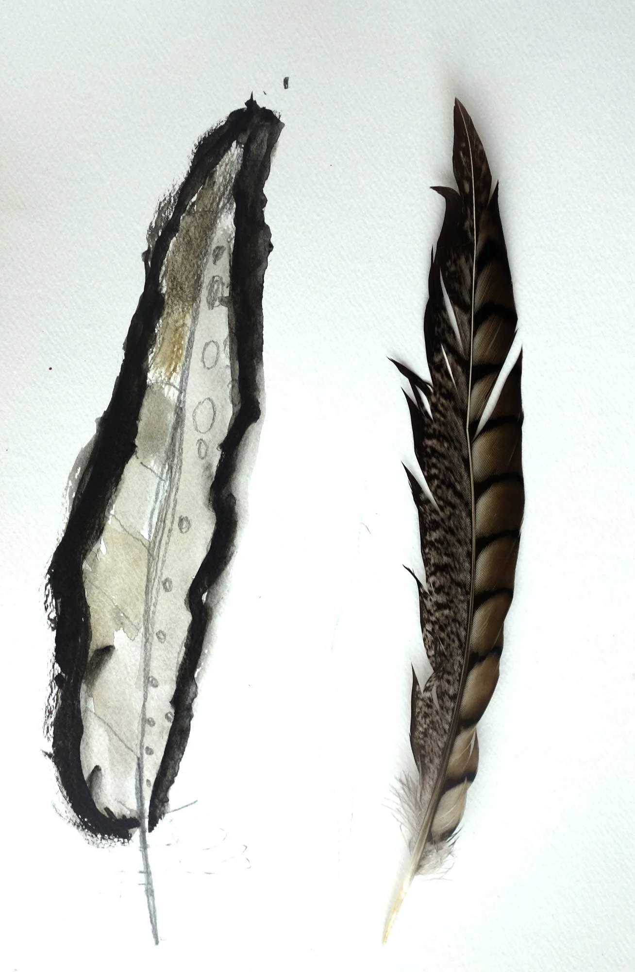 Teaching_feather2.jpg
