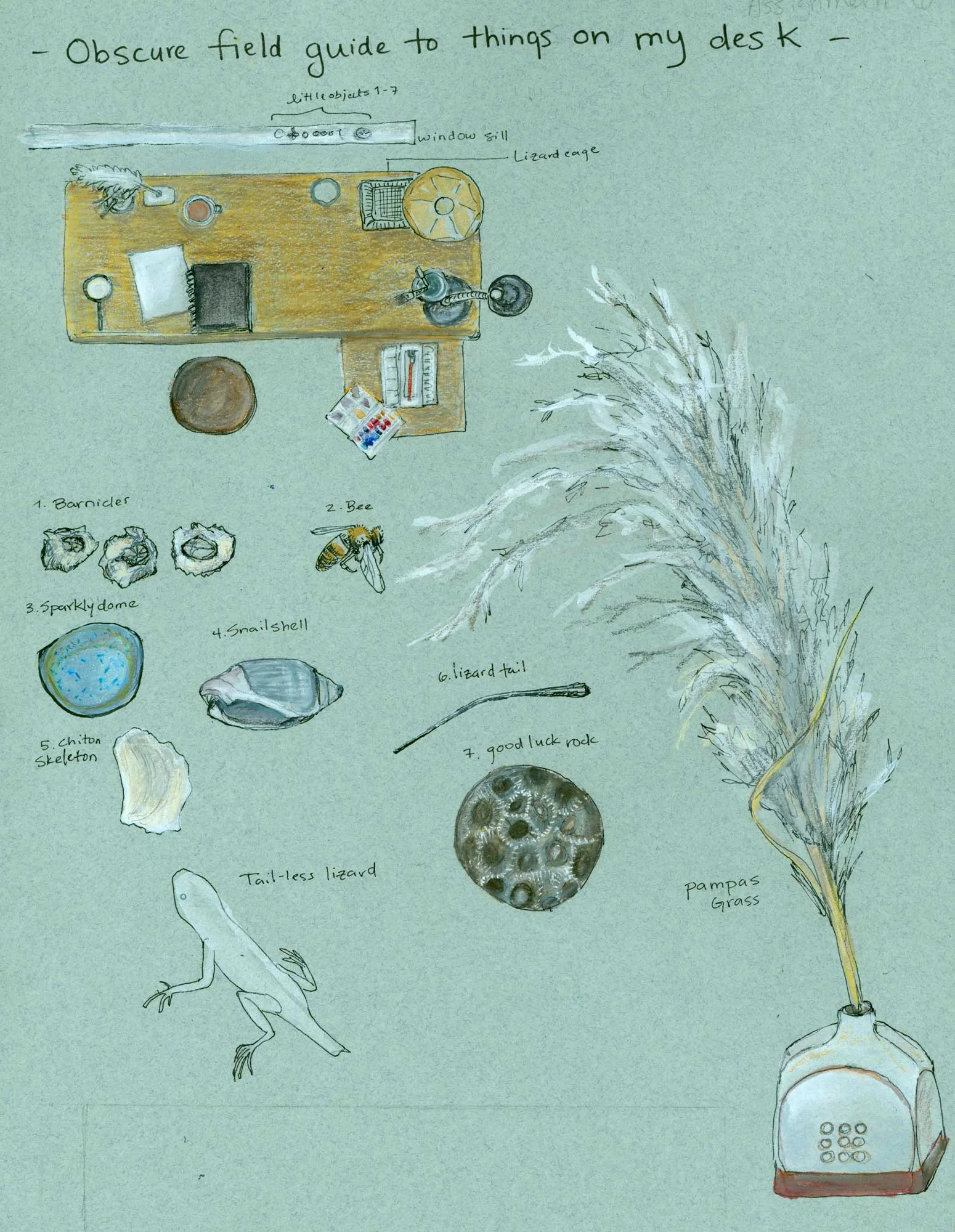 Obscure field guide to things on my desk, from 2009, when I was doing my Certificate in Science Illustration at CSUMB.