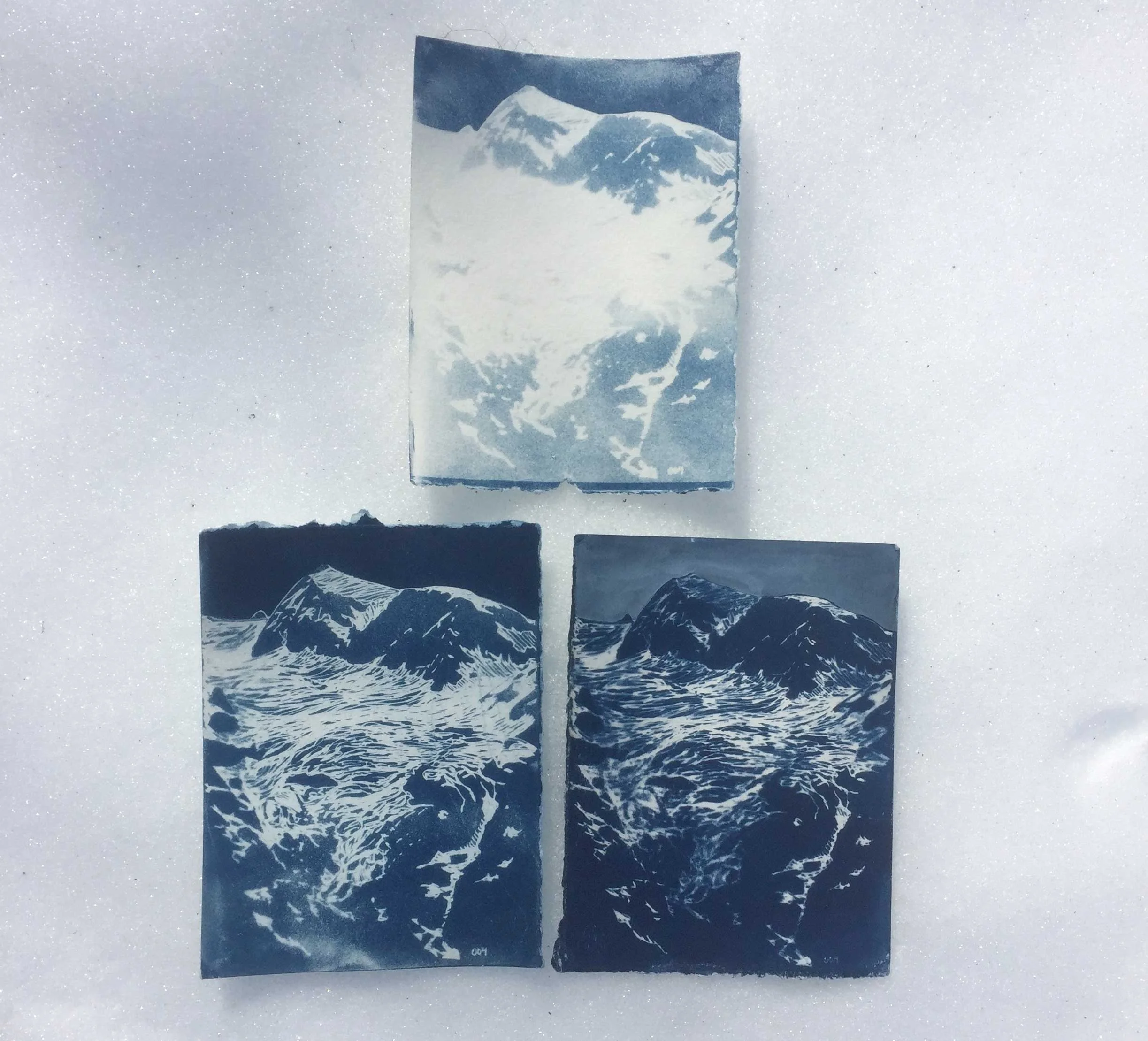 Working on cyanotype exposure