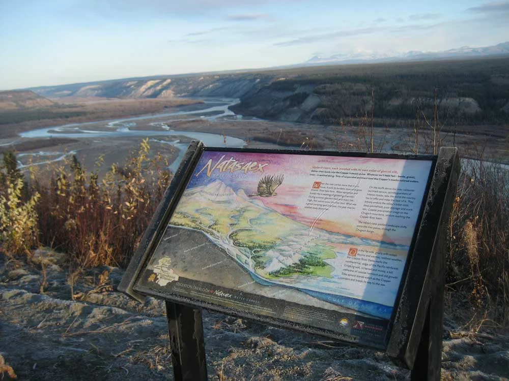 In the podcast I talk about my experience with science illustration, and one example of creating artwork for an interpretive sign explaining how this one point on a river is connected to a whole watershed.
