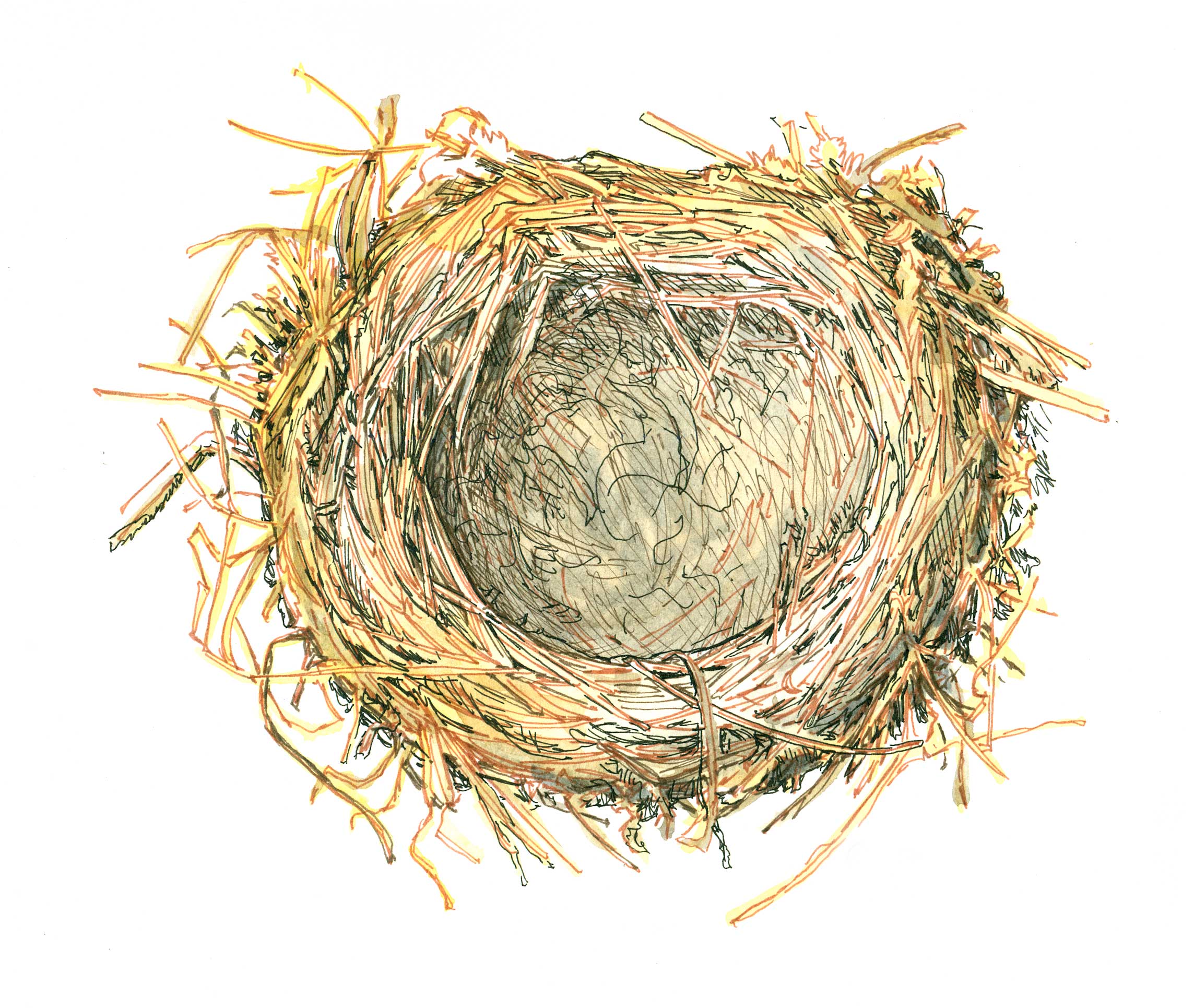 Grass Nest
