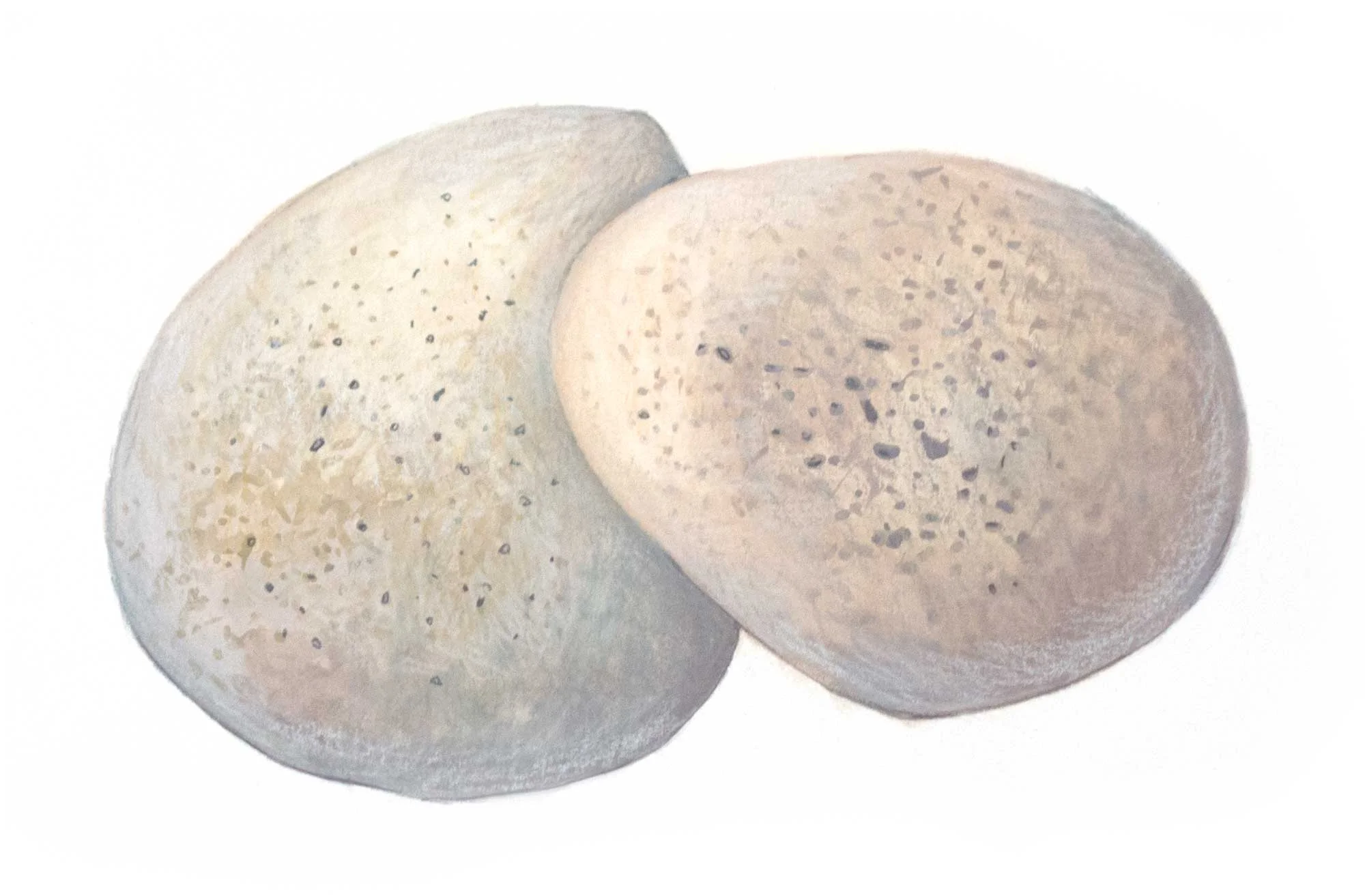 Rock Pair II