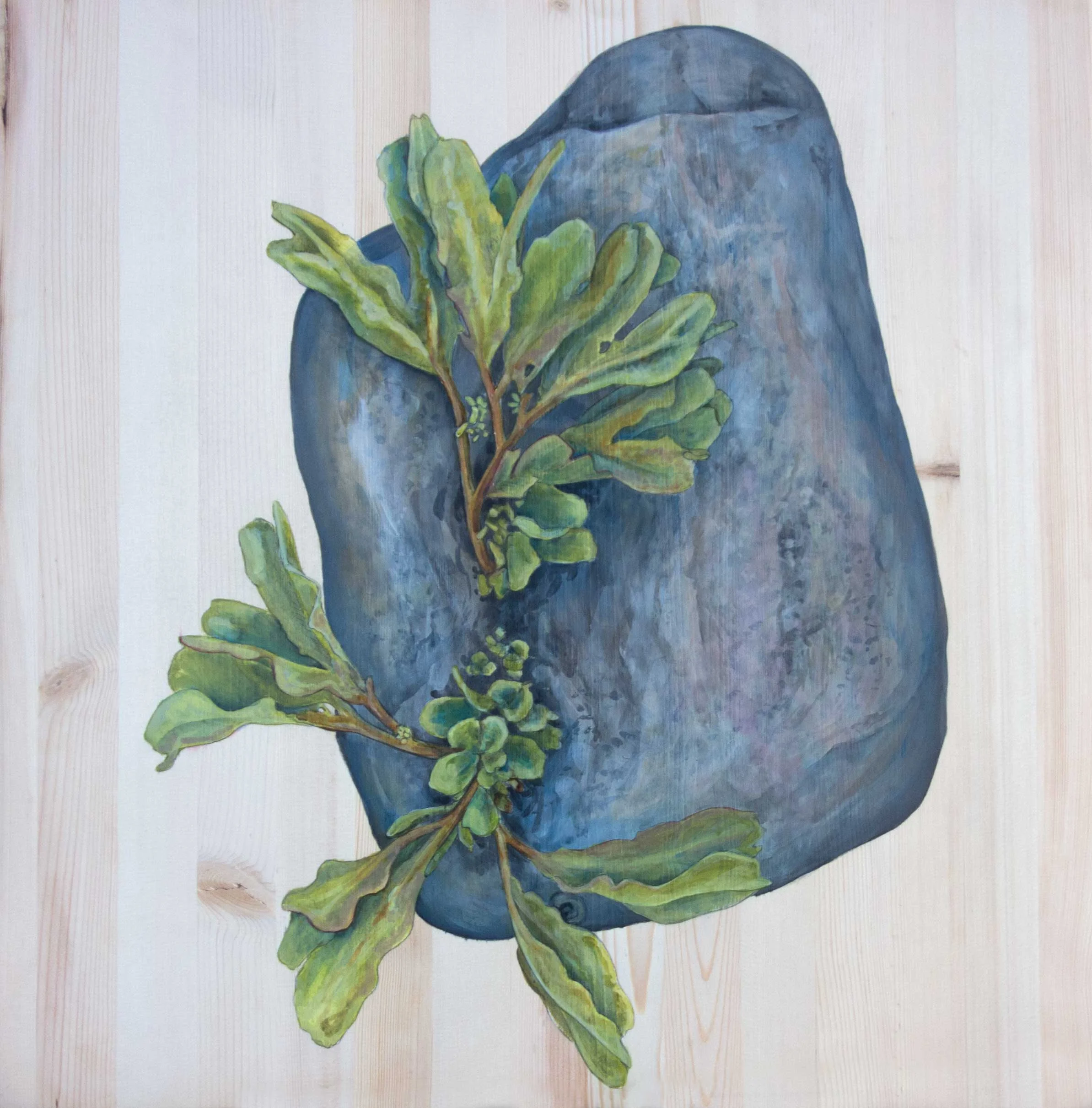 Seaweed Rock II
