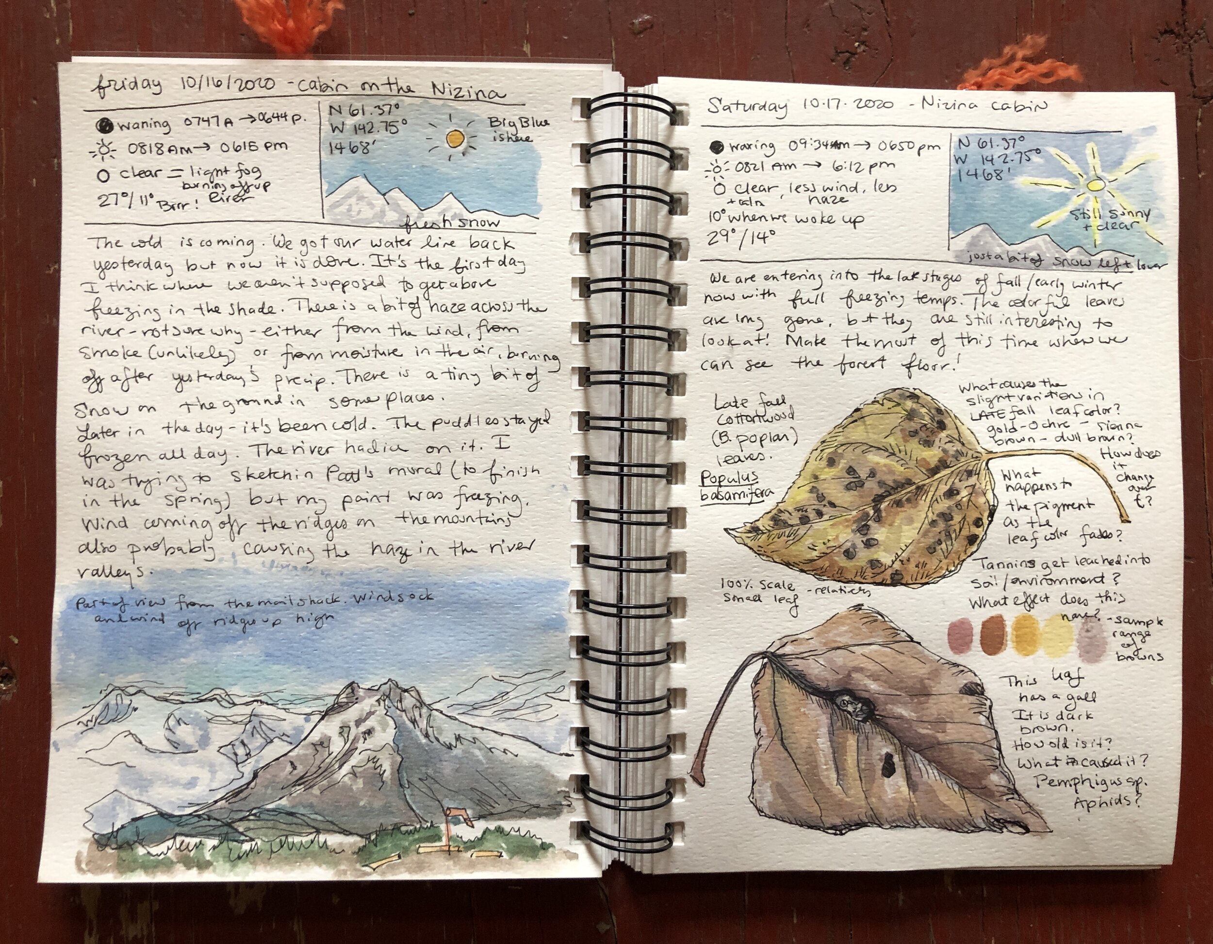 A Nature Art Journal: What's in your nature journal bag…
