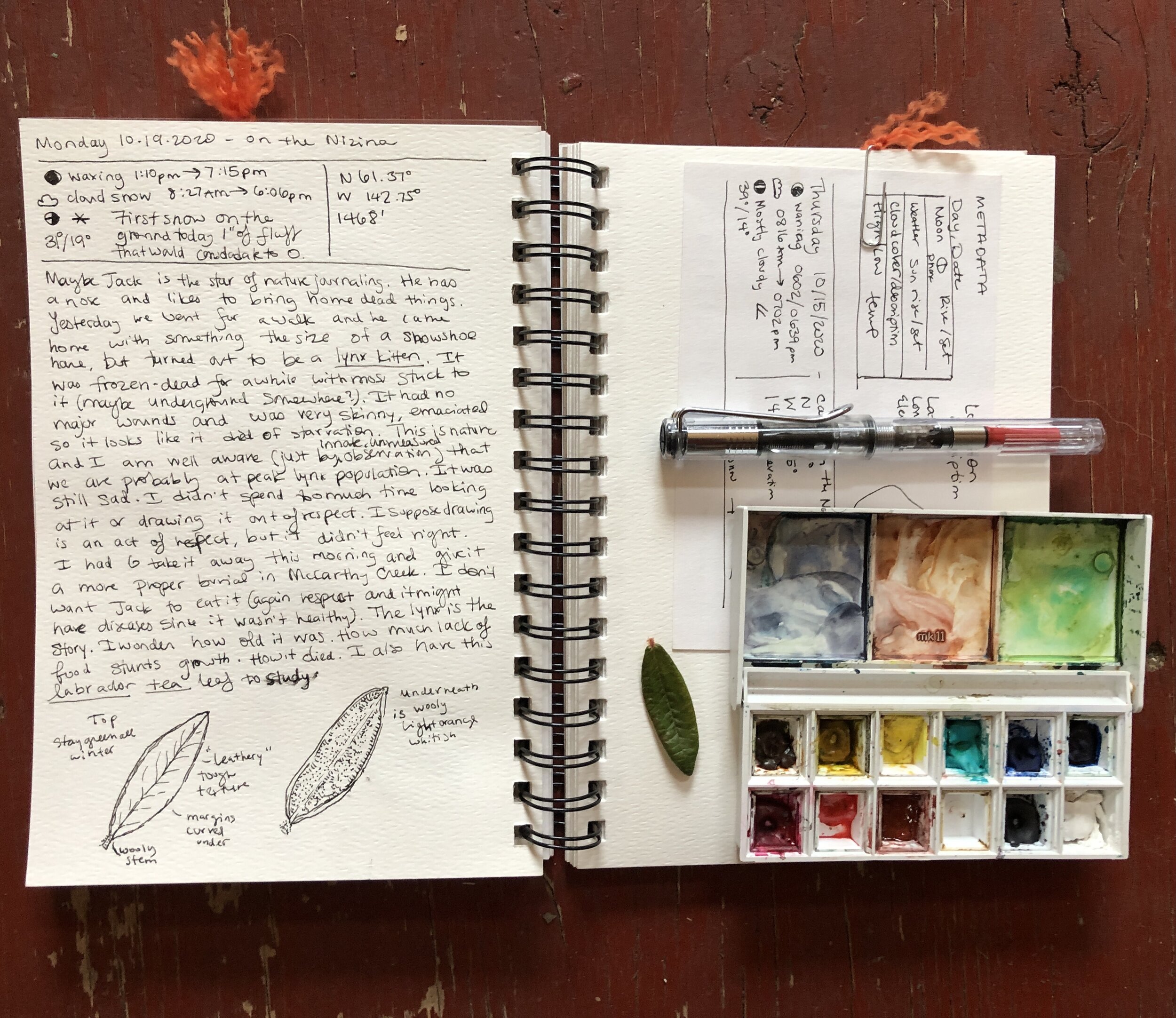 First page of my Nature Journal : r/naturejournaling