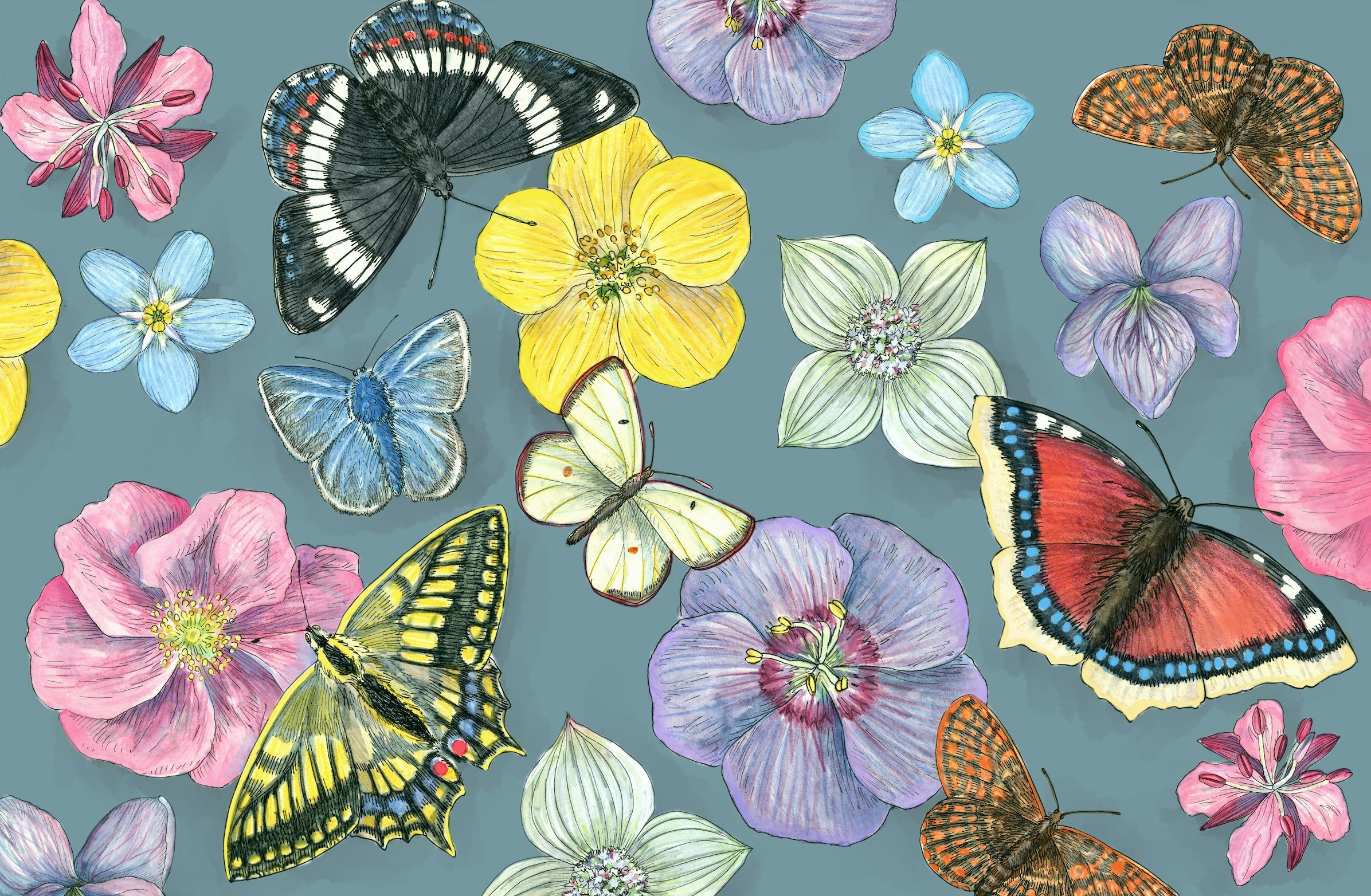 Wildflowers and Butterflies Surface Design