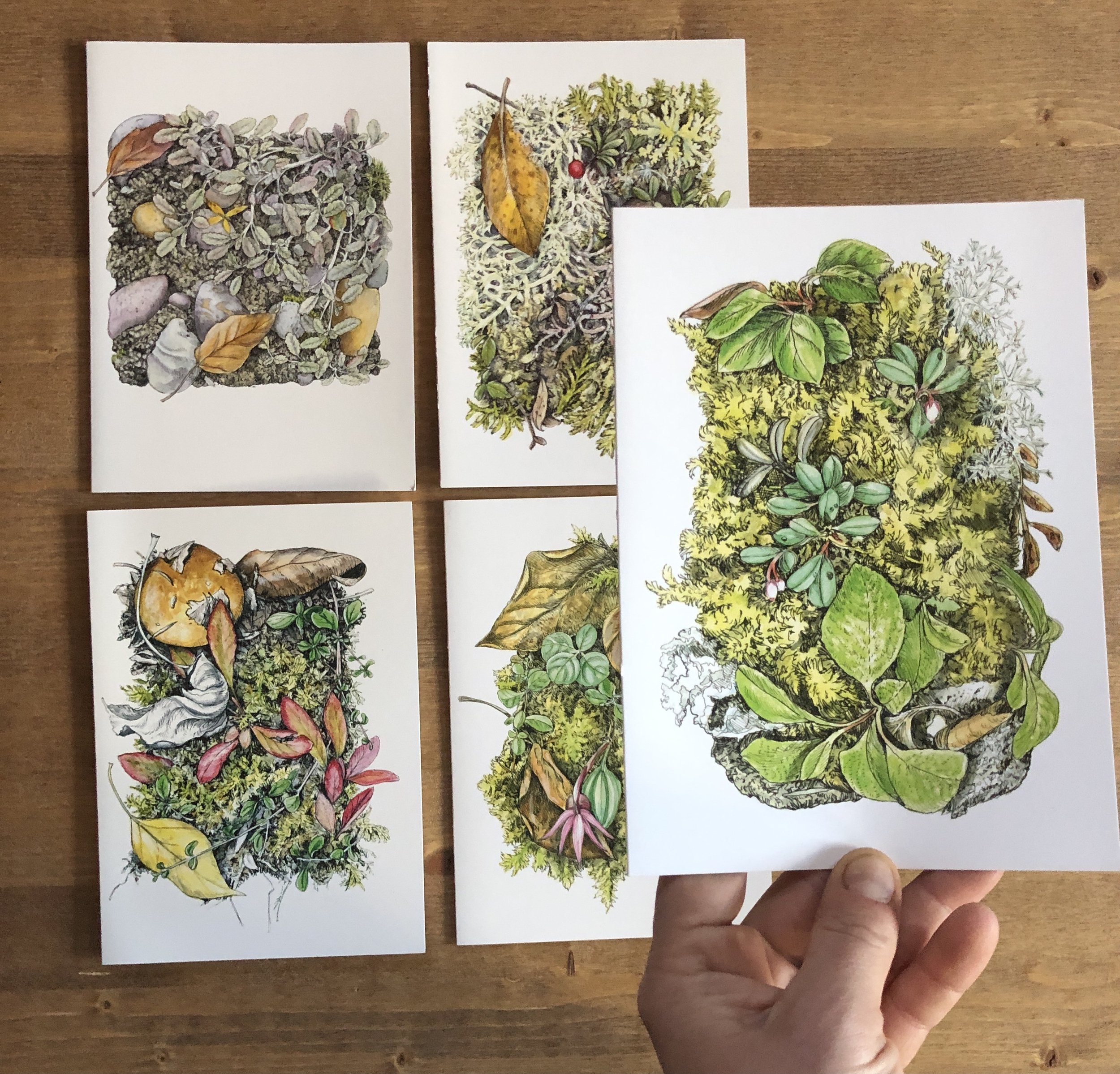 Microhabitat Cards