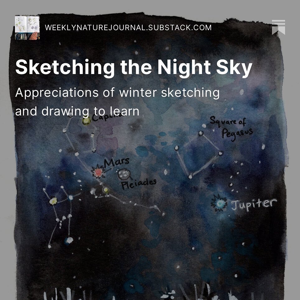 The recent stretch of bluebird March days has lead to some lovely star gazing at night. I shared a bit about drawing the night sky on the Weekly Nature Journal: weeklynaturejournal.substack.com/
