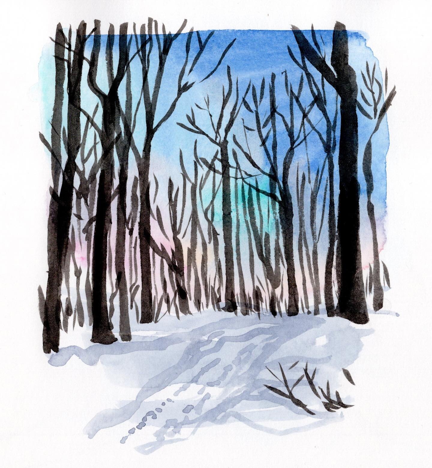 Sketchbook work from earlier this winter hanging out in the Northern Hardwood forest in Vermont. I loved spending time with all these old trees and the open forest. 

#sketchbook #trees #sketching #naturejournal #watercolor