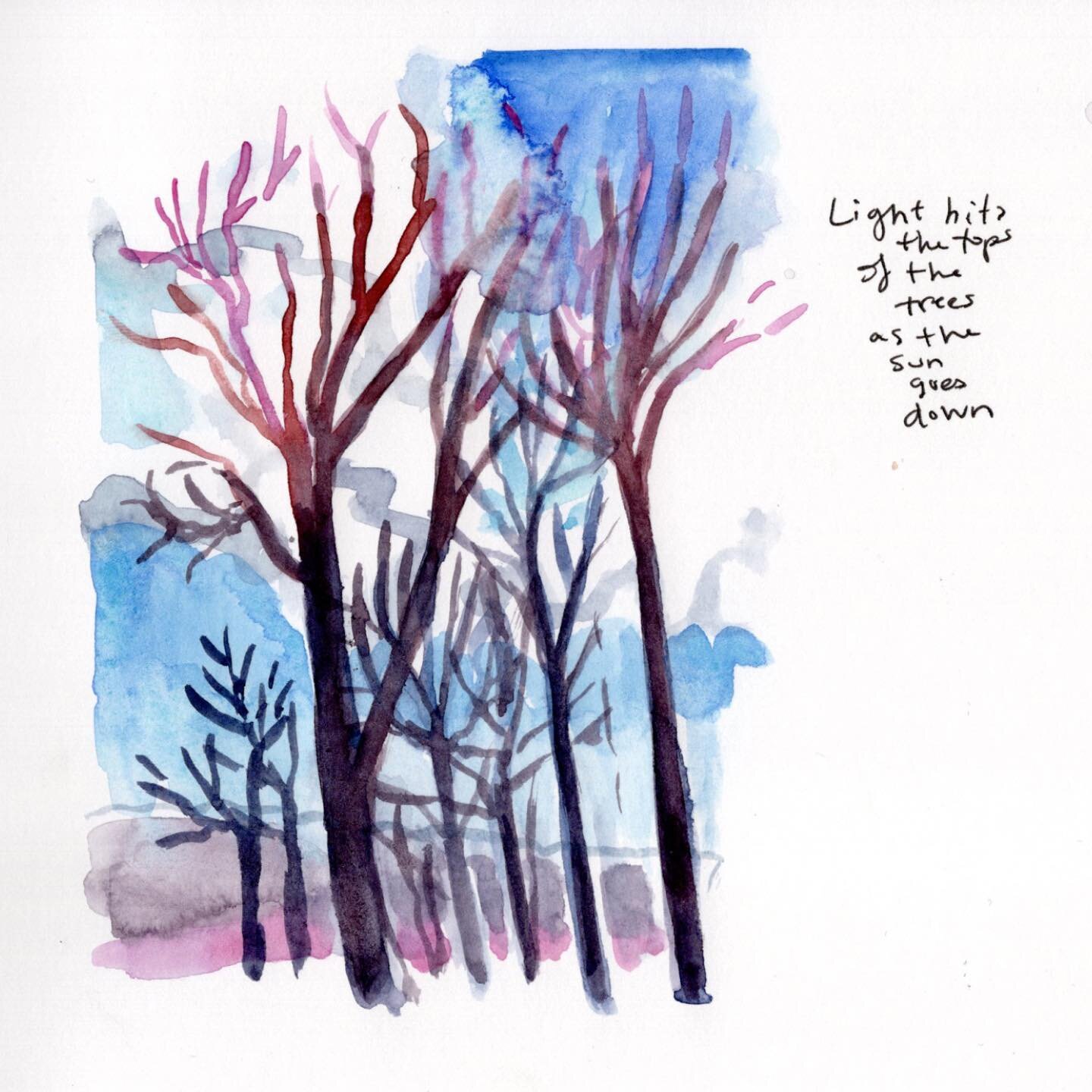 More sketchbook work from the winter months in Vermont hanging out in the Northern Hardwood Forest. I love the way you can see the sky through the trees and that the light will come and hit the top branches. I love to draw with pen, but sometimes it 