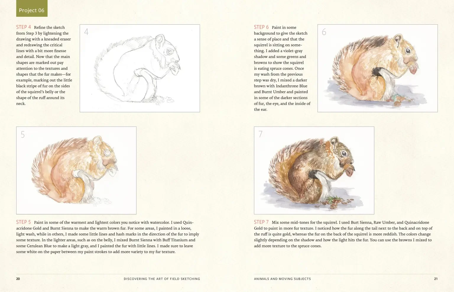 Discover the Art of Field Sketching by Kristin Link