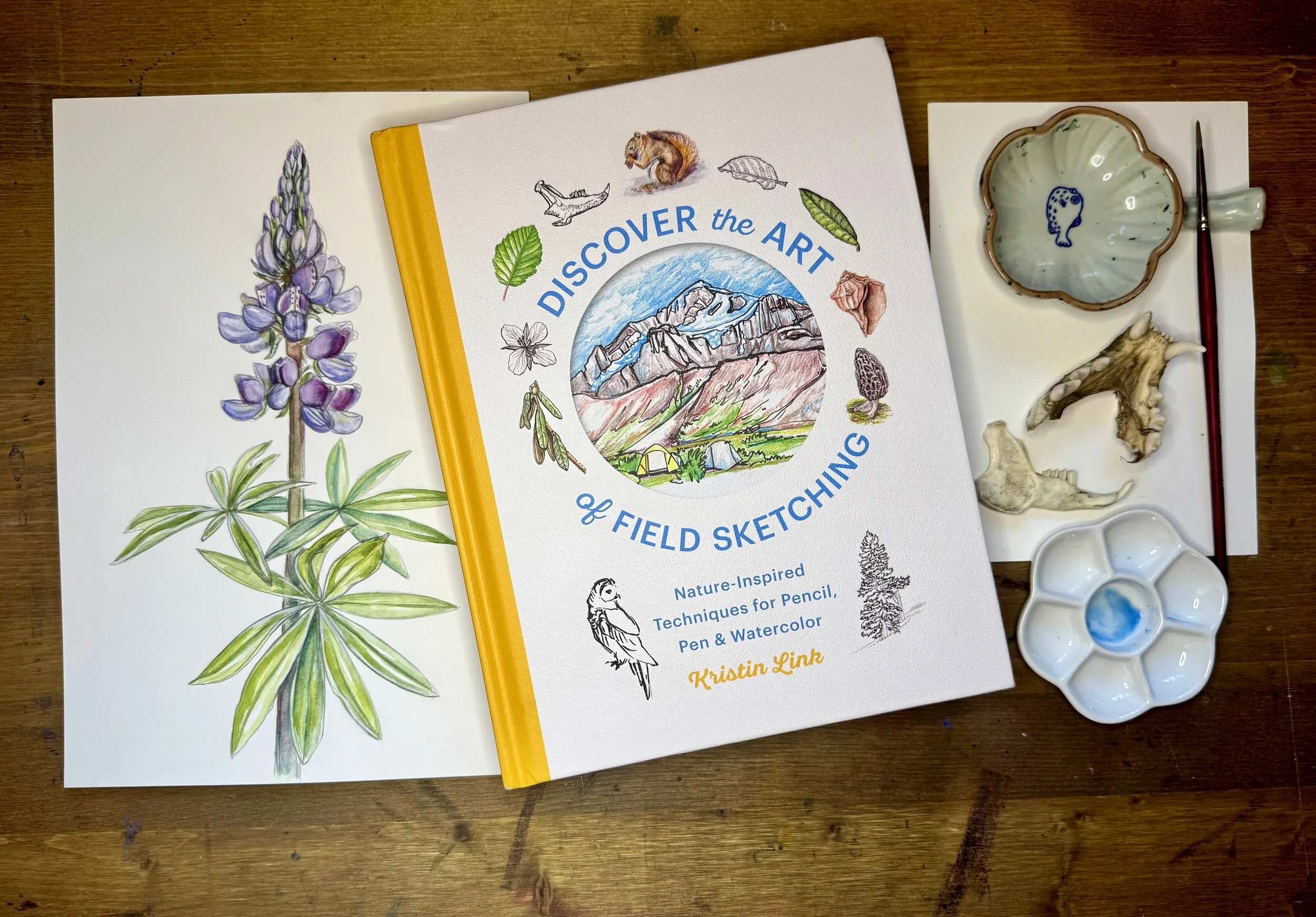 Discover the Art of Field Sketching Book with lupine botanical sketch