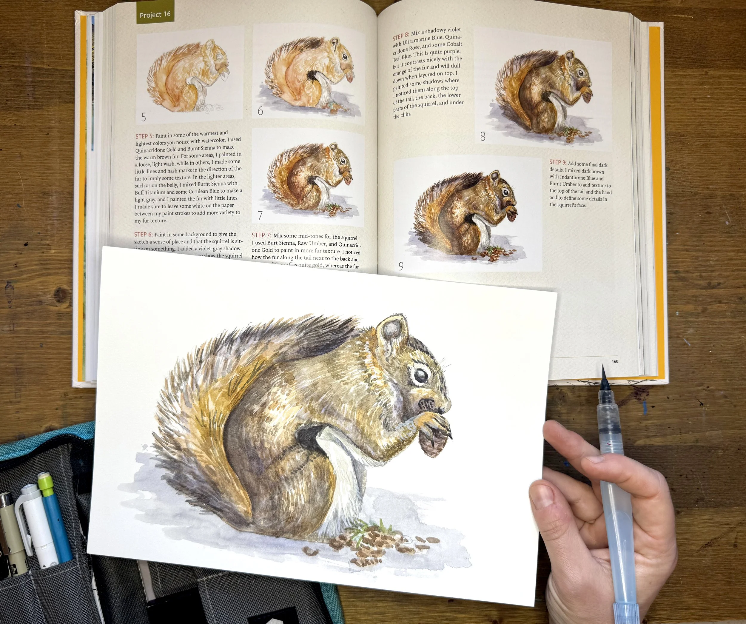 Discover the Art of Field Sketching squirrel step by step watercolor