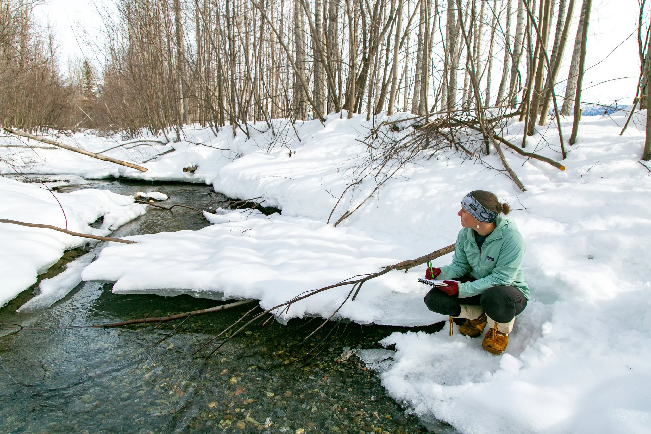 Field Sketching outdoors in winter