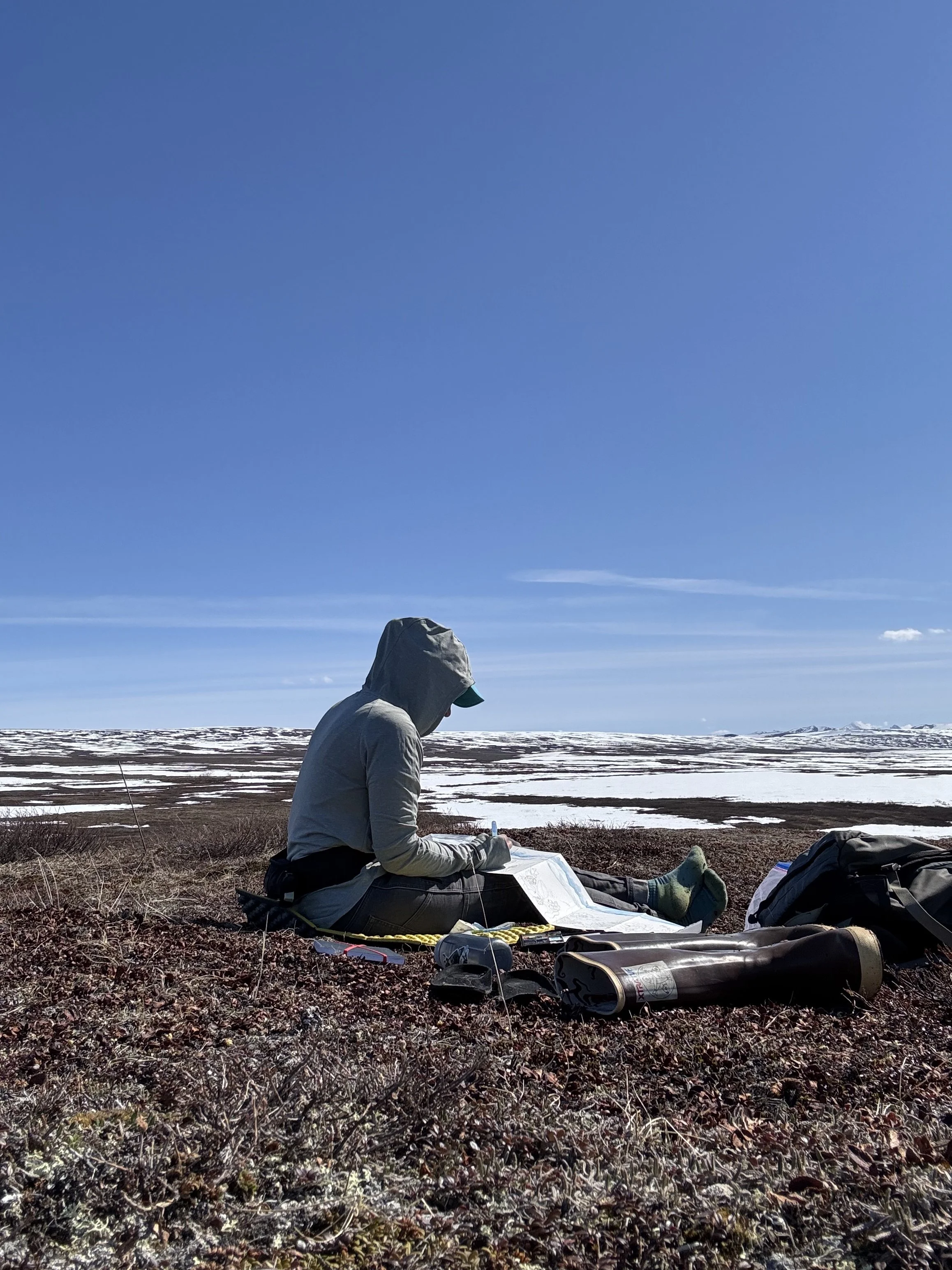  Sketching on the tundra at Toolik Field Station 