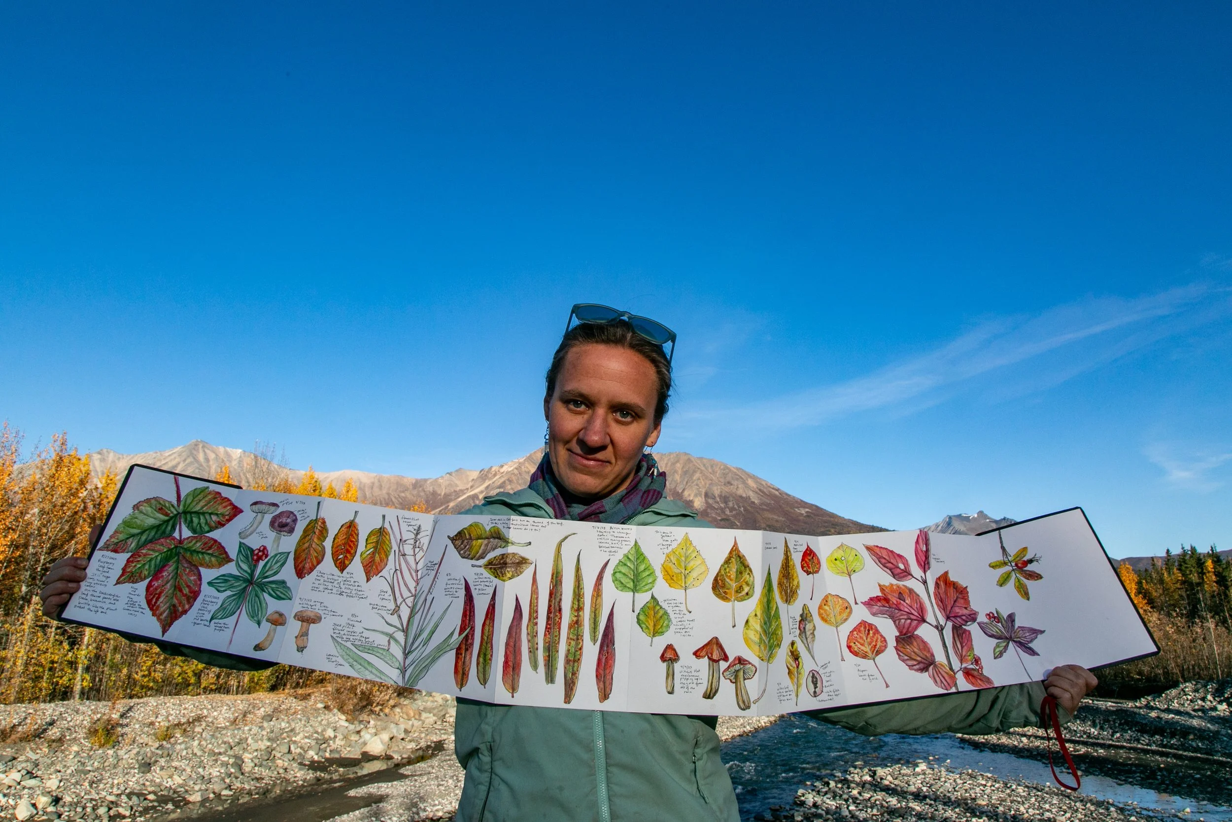 John Muir Laws Community Zoom, Bite Sized Botany