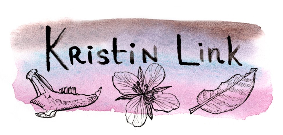 Kristin Link 