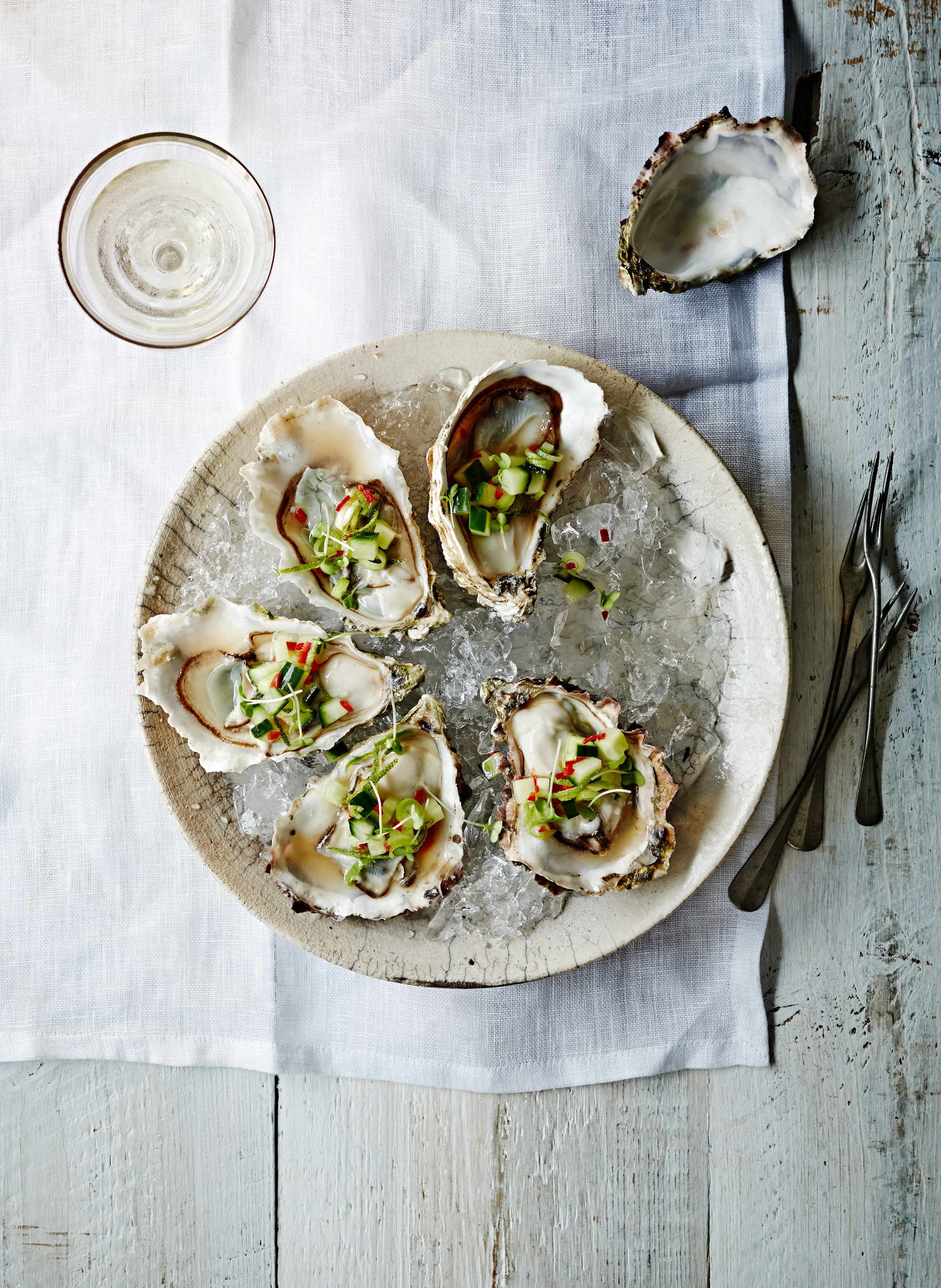 OYSTERS_SEB_EJ_Ceviche_13081532974.jpg