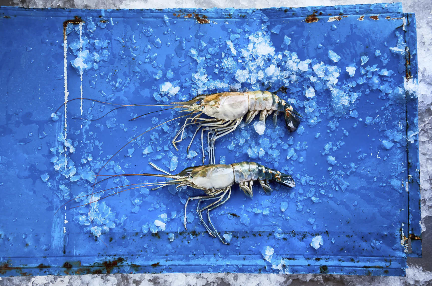 Screenshot 2026-04-13 at 11.13.46.png