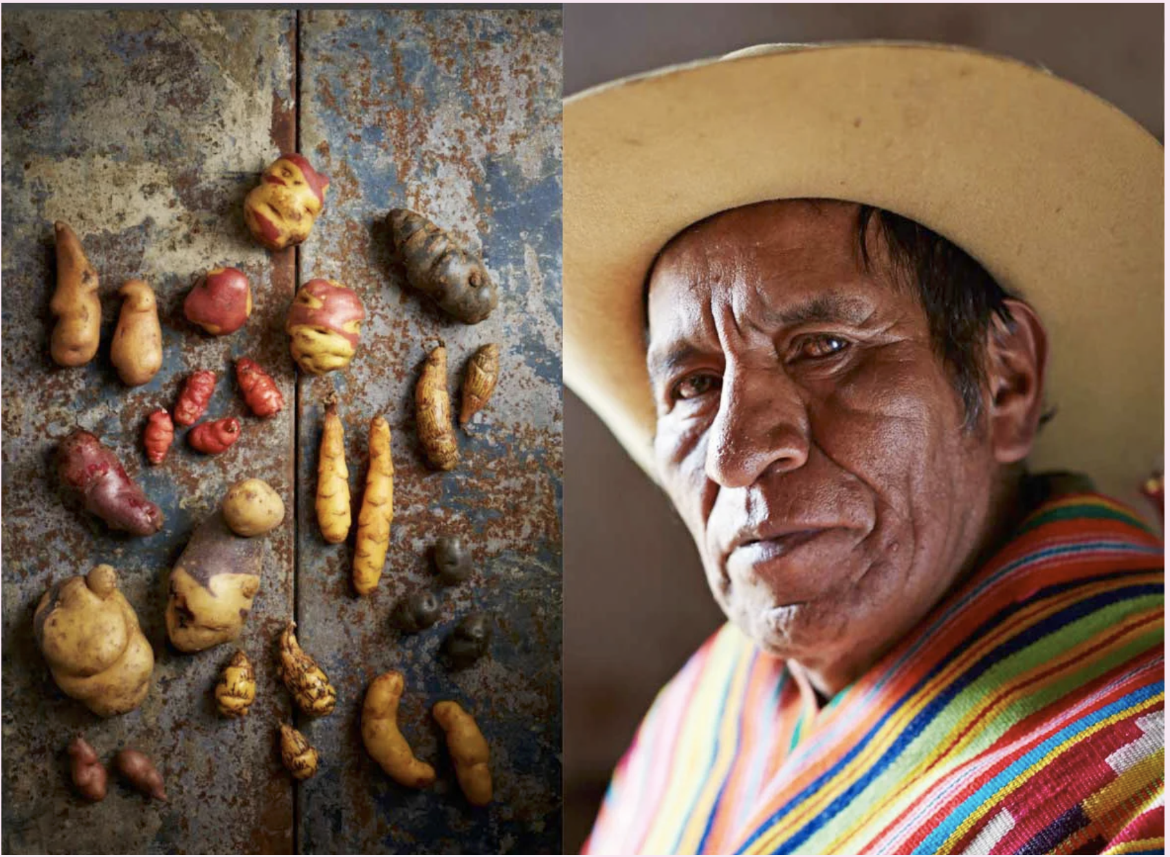 Screenshot 2026-04-13 at 22.34.28.png