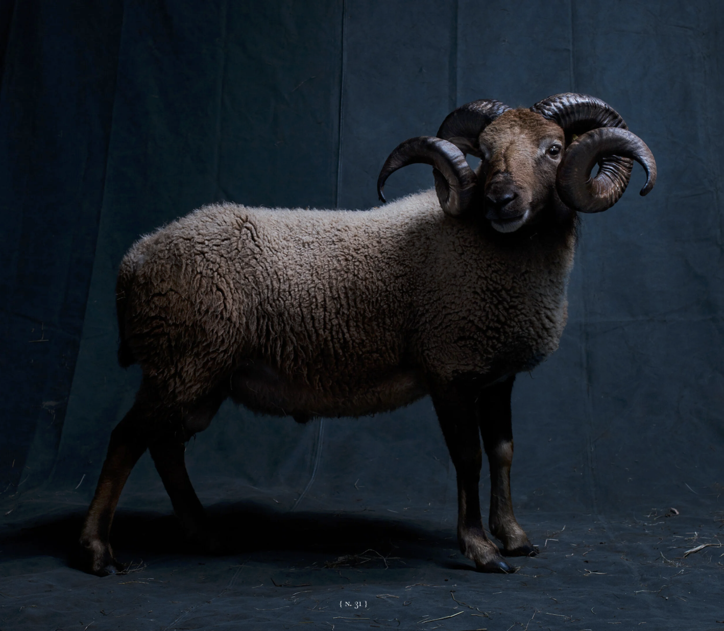 Screenshot 2026-04-13 at 22.35.32.png