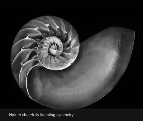 Nature cheerfully flaunting symmetry.