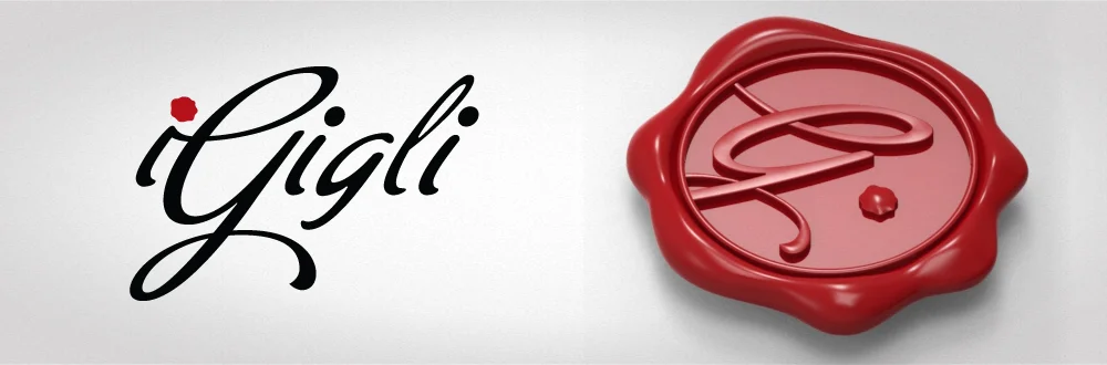 igigli_portfolio_intro_pic.jpg