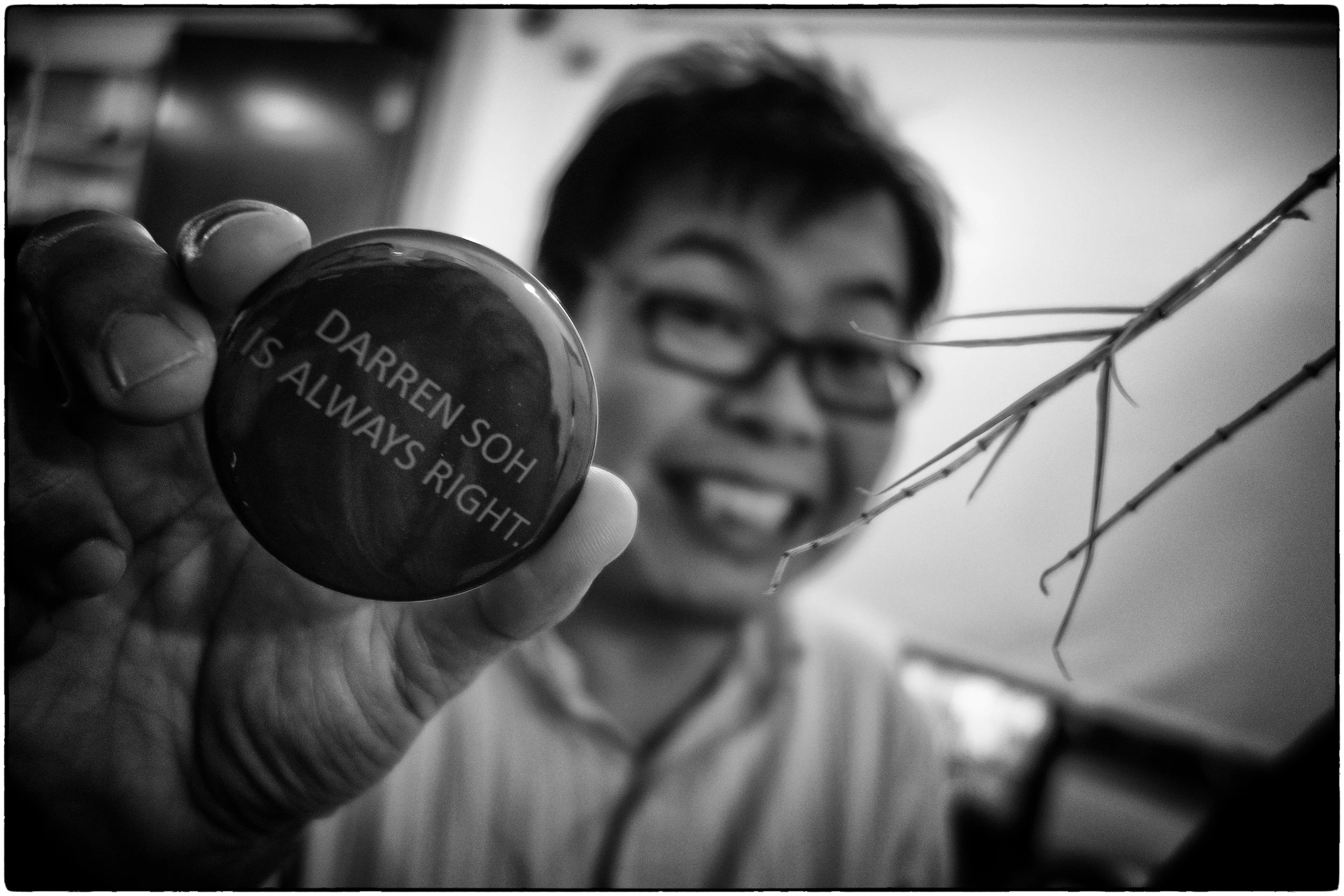 The Do-No-Wrong badge (and portable off-camera twig, for when you need a little space-filling in your pictures) for Darren.