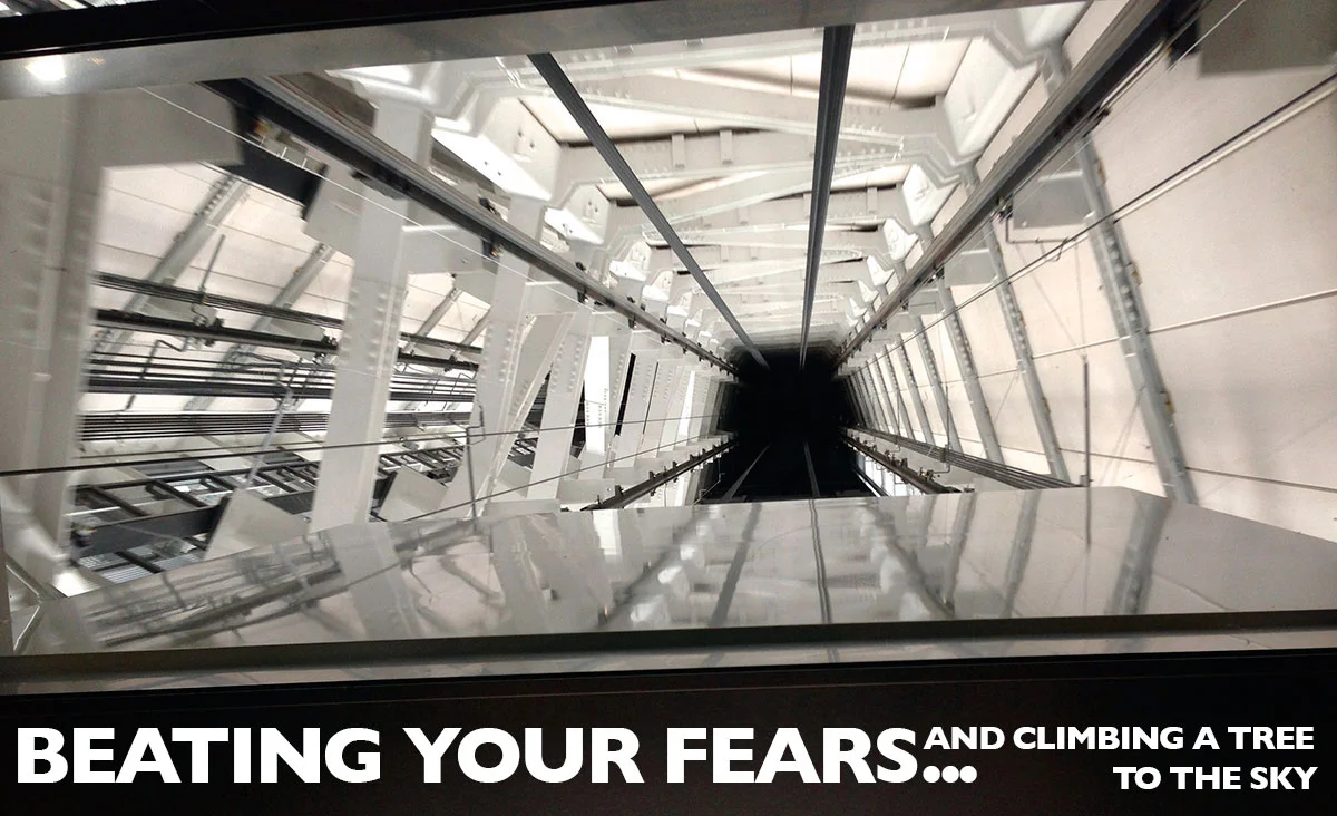 BEATING YOUR FEARS... and climbing a tree to the sky