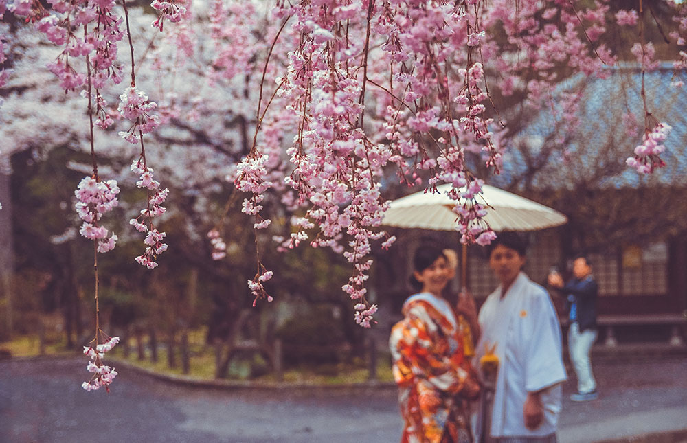 SHINE+COUPLE+TRADITIONAL+SAKURA.jpeg