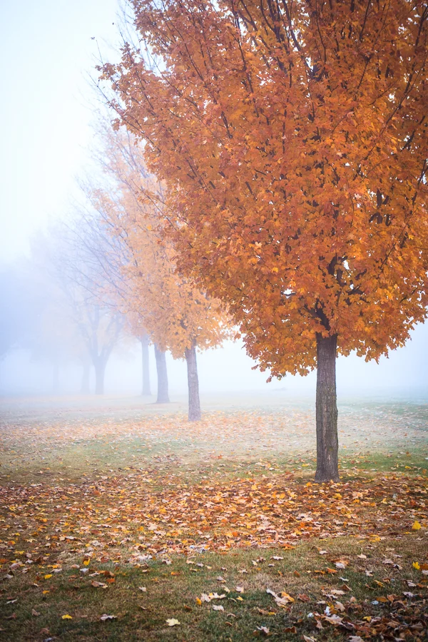 Valerie Jardin Photography - Nature Photography-4.jpg