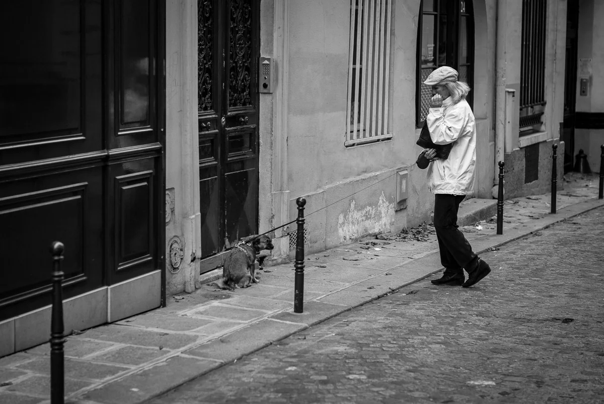 ©Valerie Jardin - street dogs-18.jpg