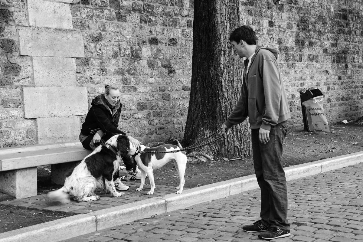©Valerie Jardin - street dogs-22.jpg