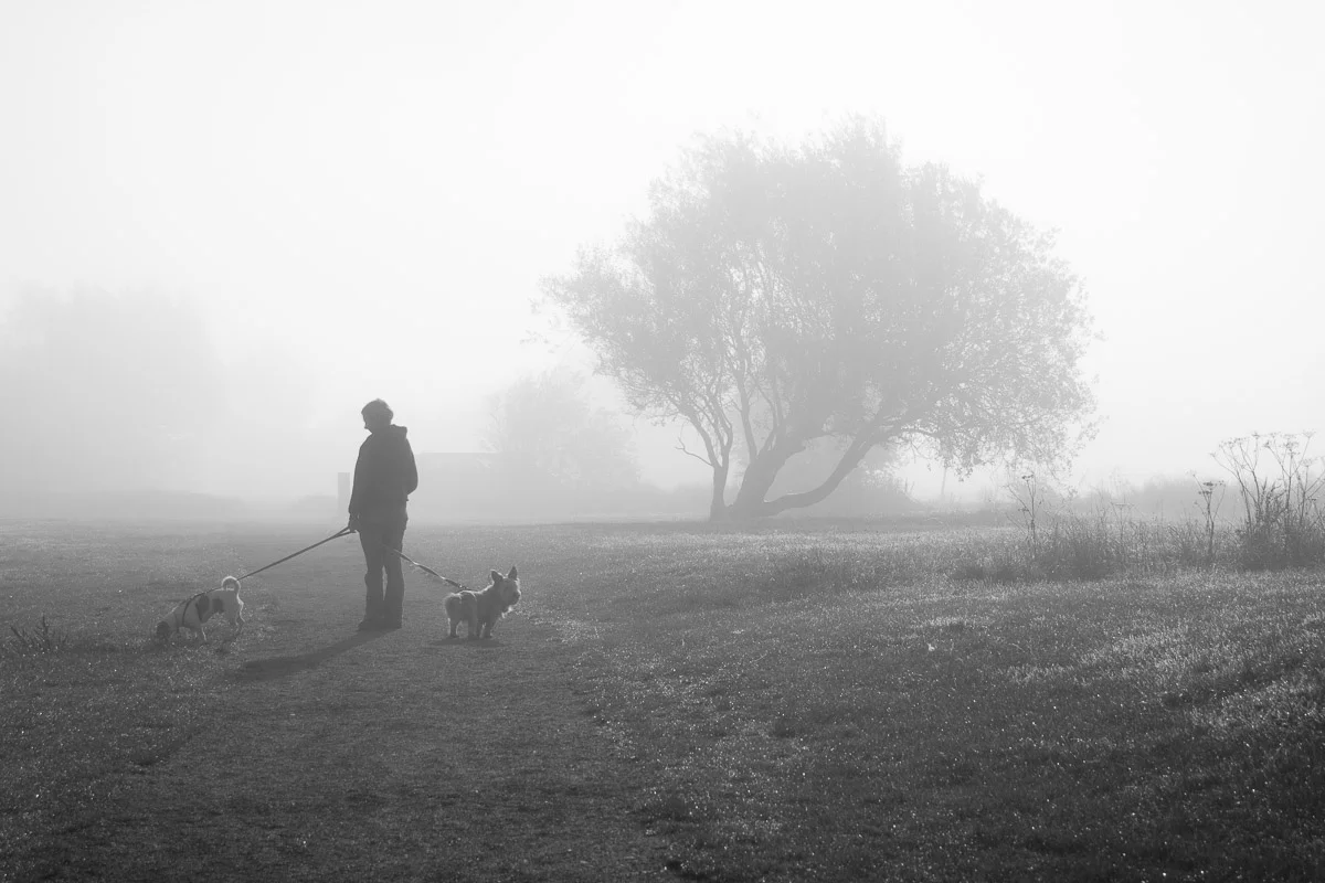 ©Valerie Jardin - street dogs-26.jpg