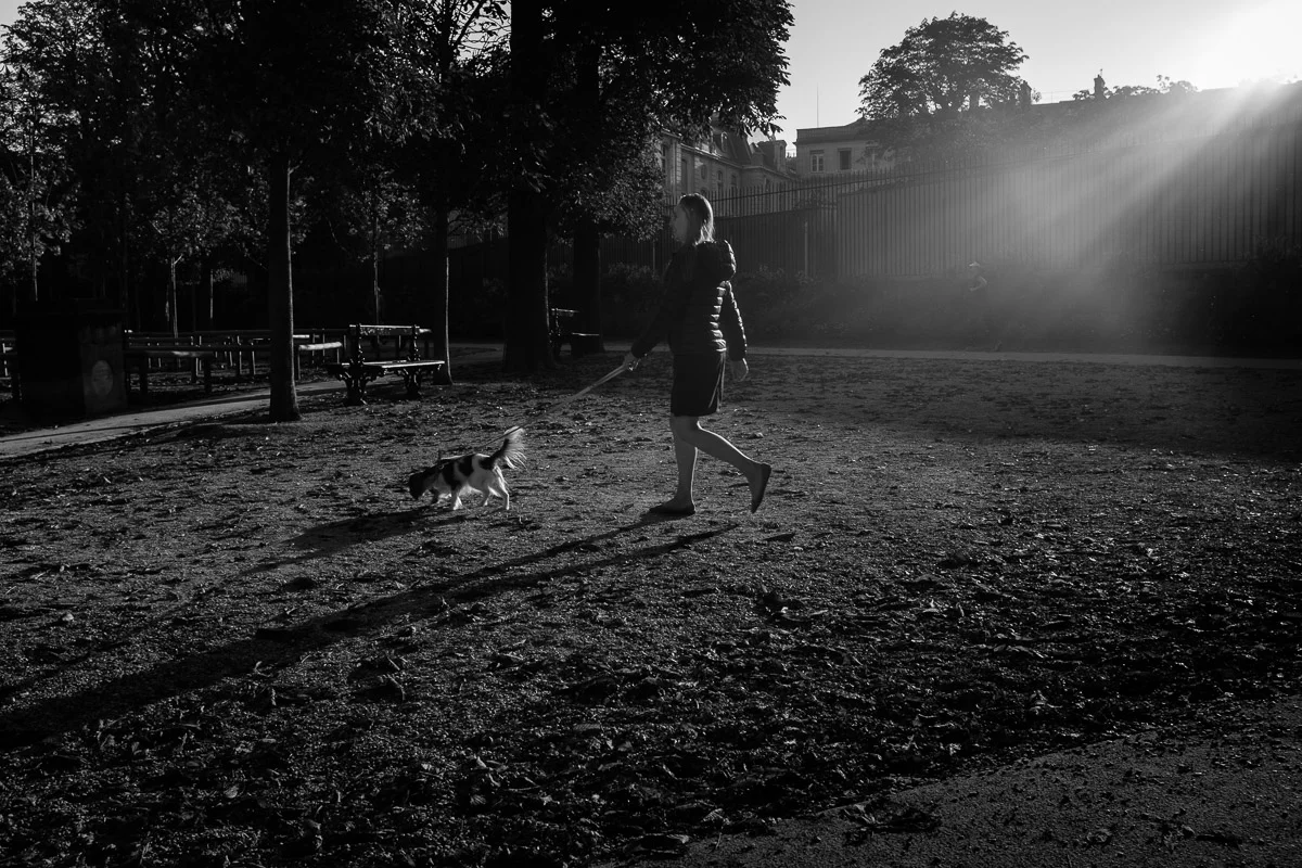 ©Valerie Jardin - street dogs-40.jpg