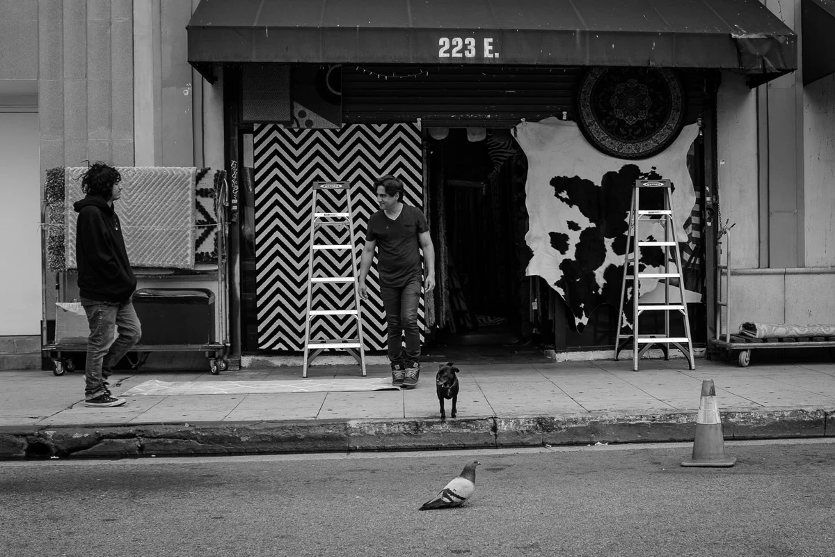 ©Valerie Jardin - street dogs-44.jpg