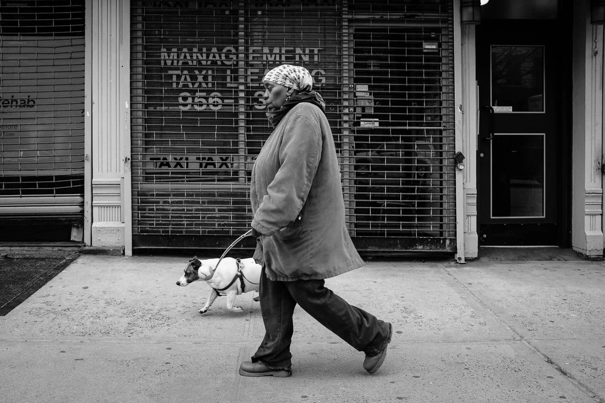 ©Valerie Jardin - street dogs-45.jpg