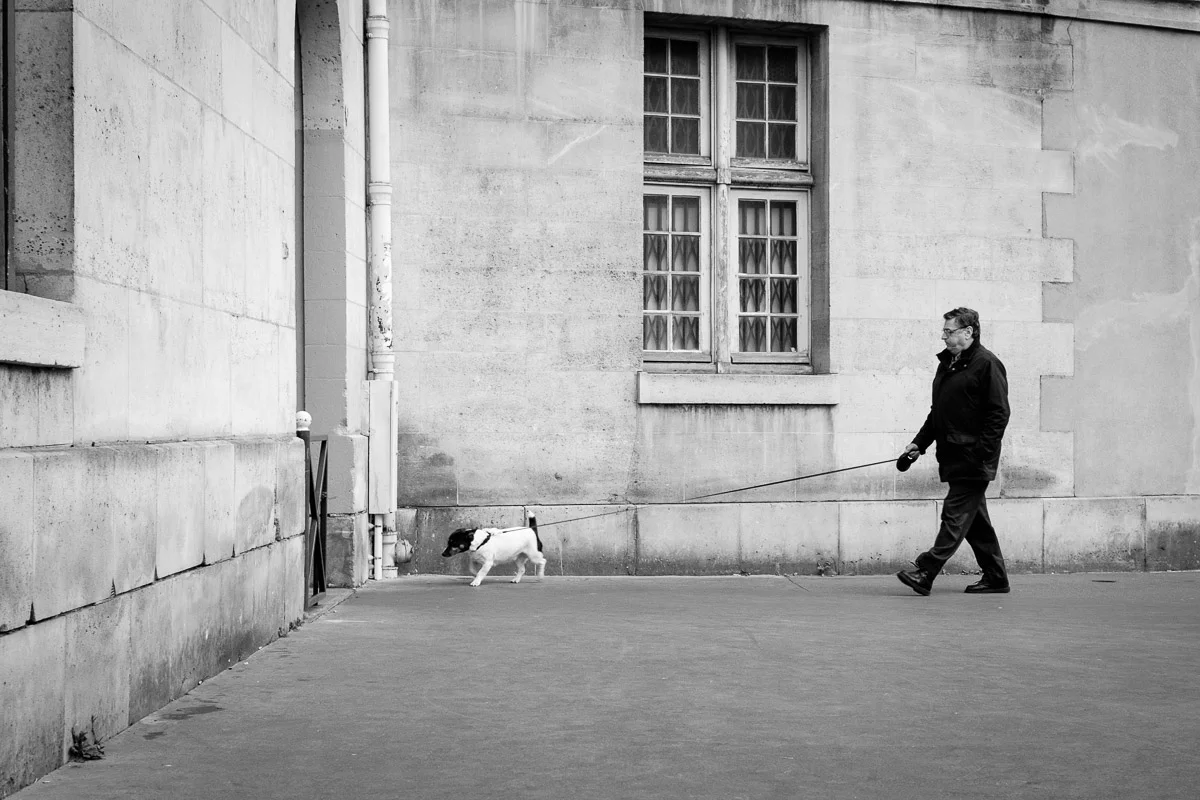 ©Valerie Jardin - street dogs-48.jpg