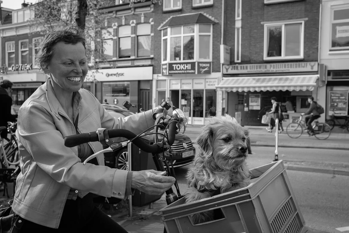 ©Valerie Jardin - street dogs-58.jpg