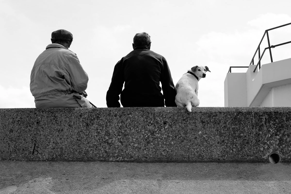 ©Valerie Jardin - street dogs-67.jpg