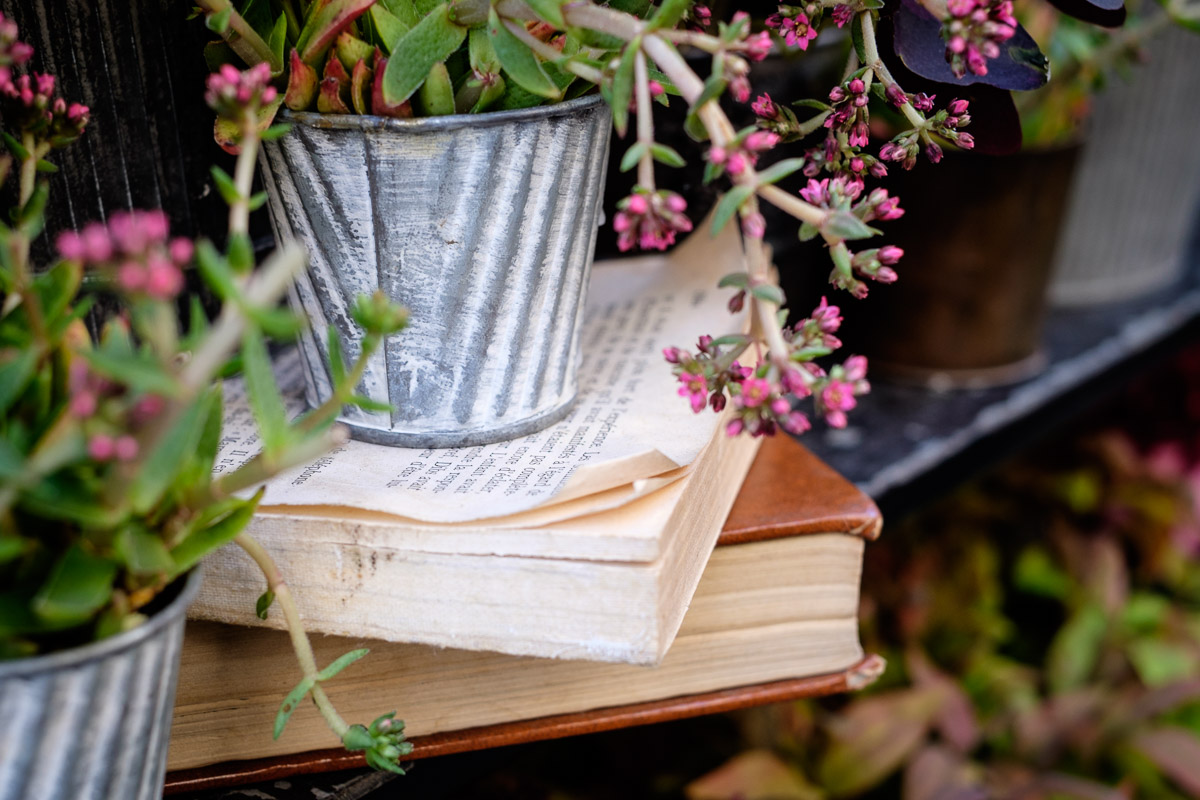 ©Valerie Jardin - Ordinary objects-49.jpg