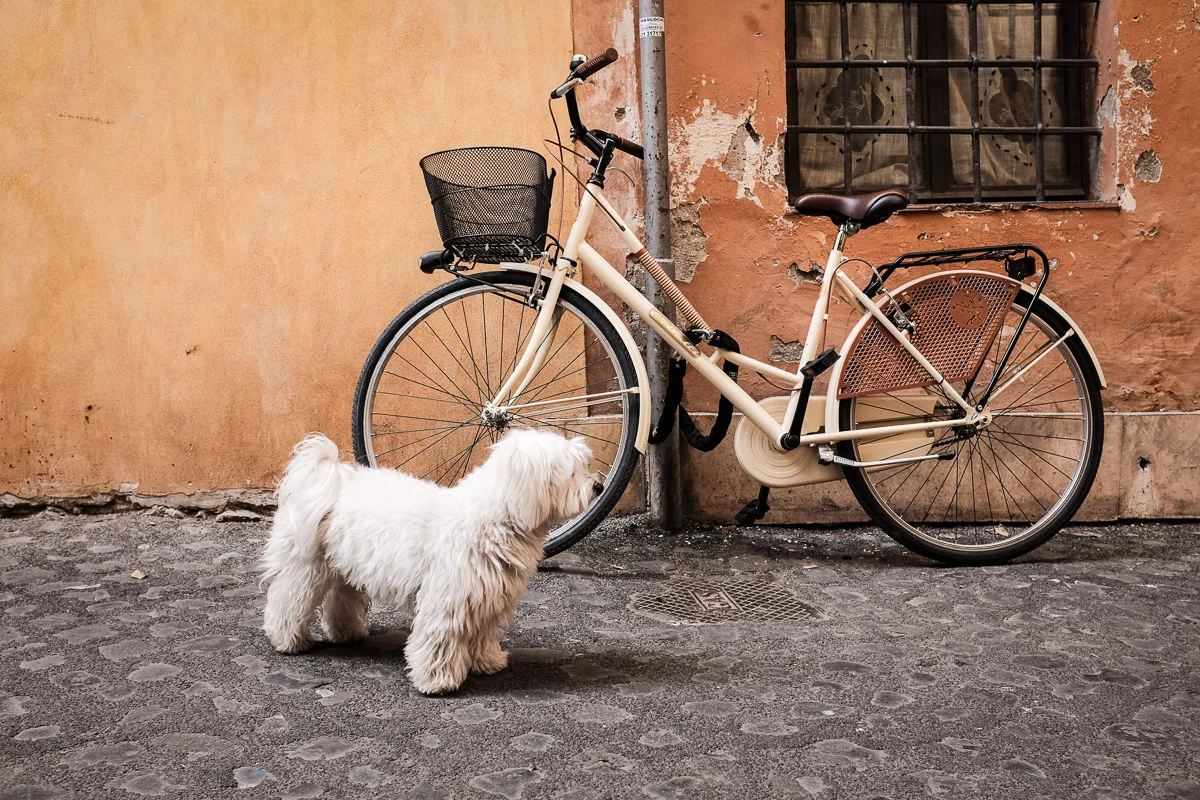 ©Valerie Jardin - Rome-54.jpg