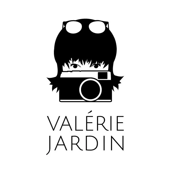 VJ-Logo3a1.jpg