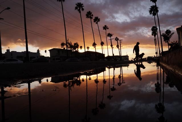 Photo by Michael Williams