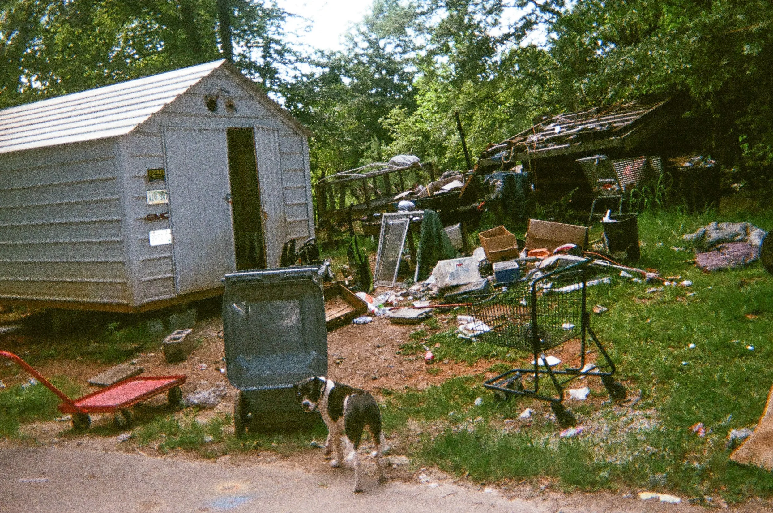 Through_Our_Eyes_Spartanburg_2017_11.jpg